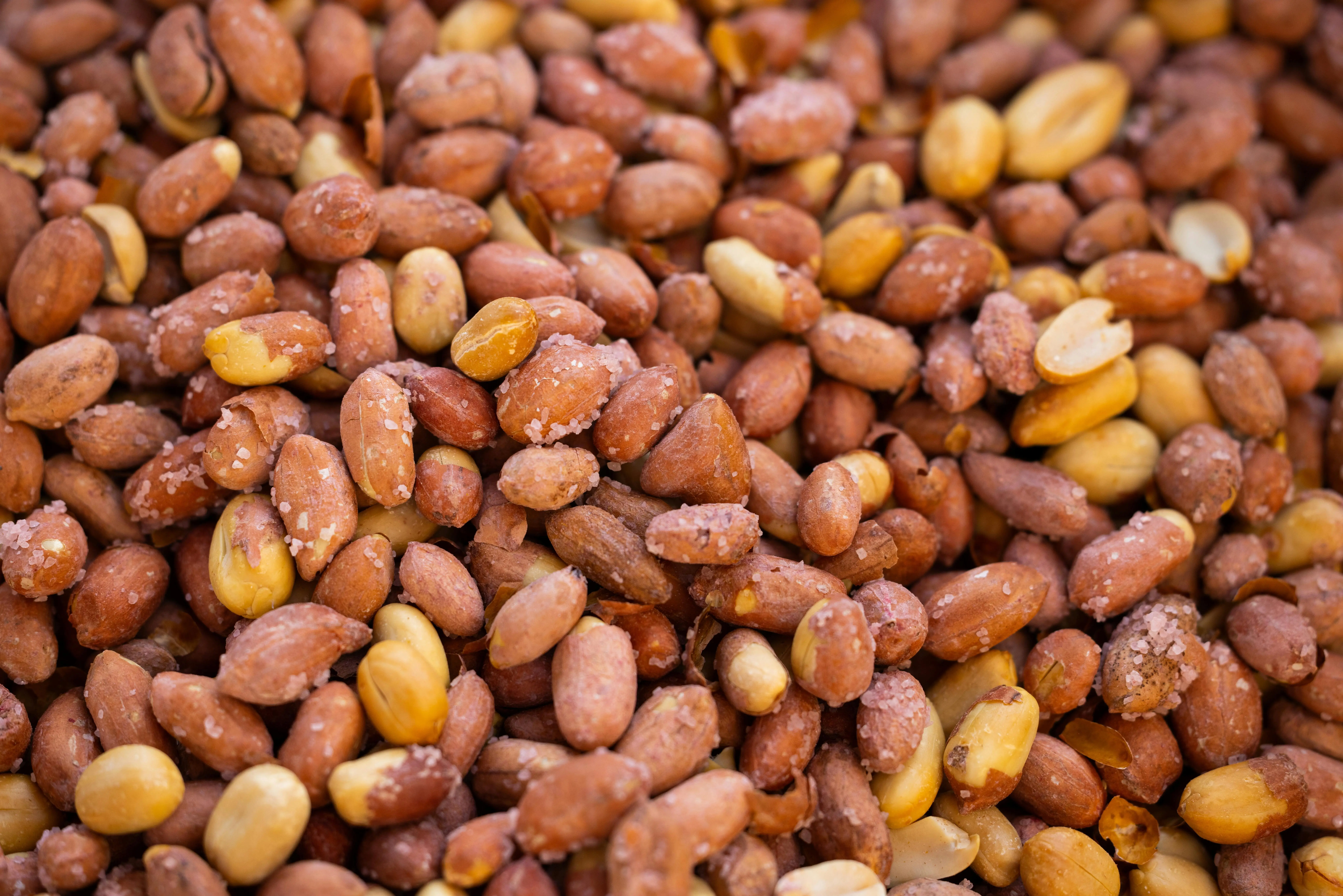 Kacang Tanah: Rahasia Nutrisi Tersembunyi untuk Jantung dan Berat Badan Ideal