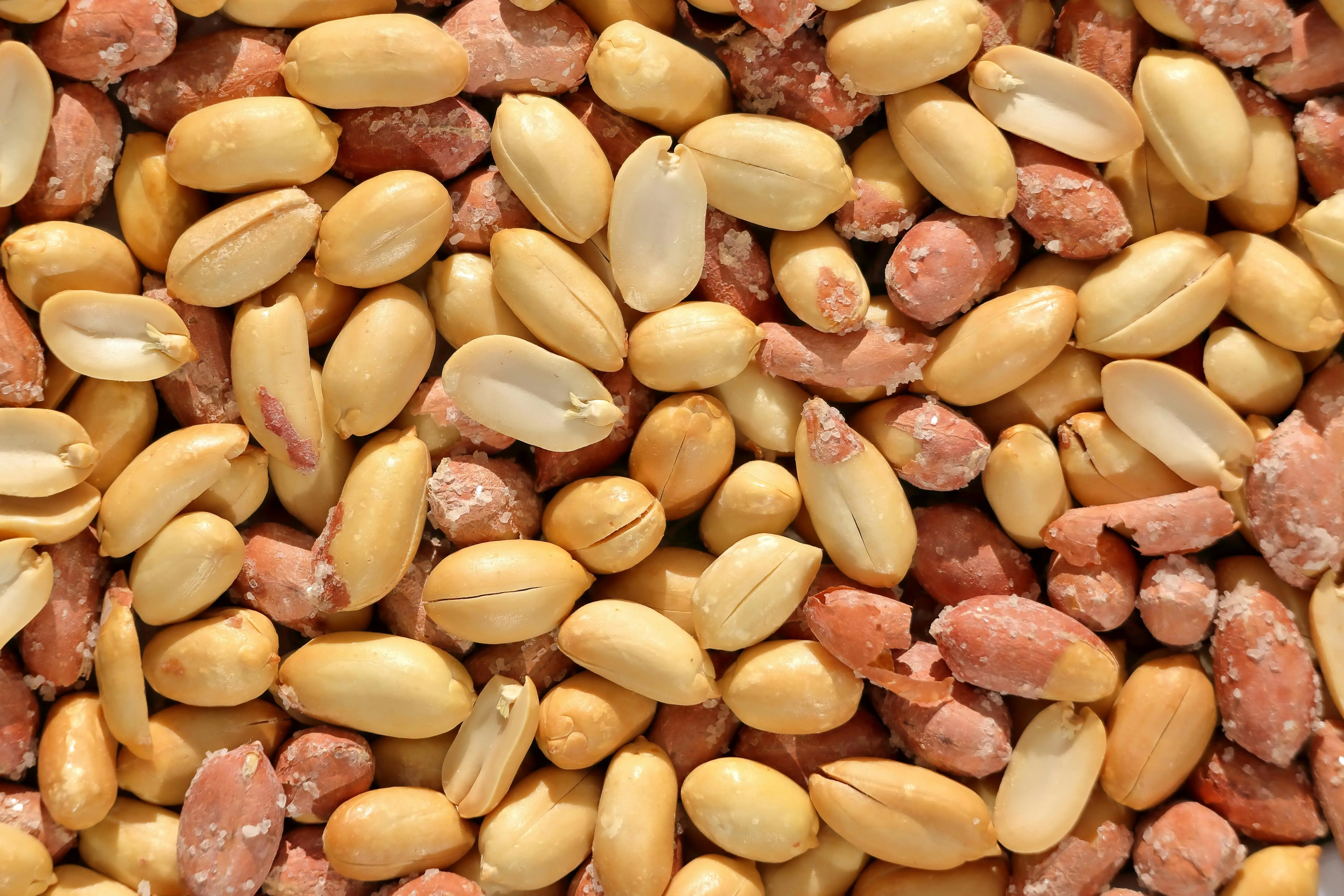 Kacang Tanah dalam Menu Sehari-hari: Nutrisi Padat yang Terjangkau untuk Kesehatan Optimal
