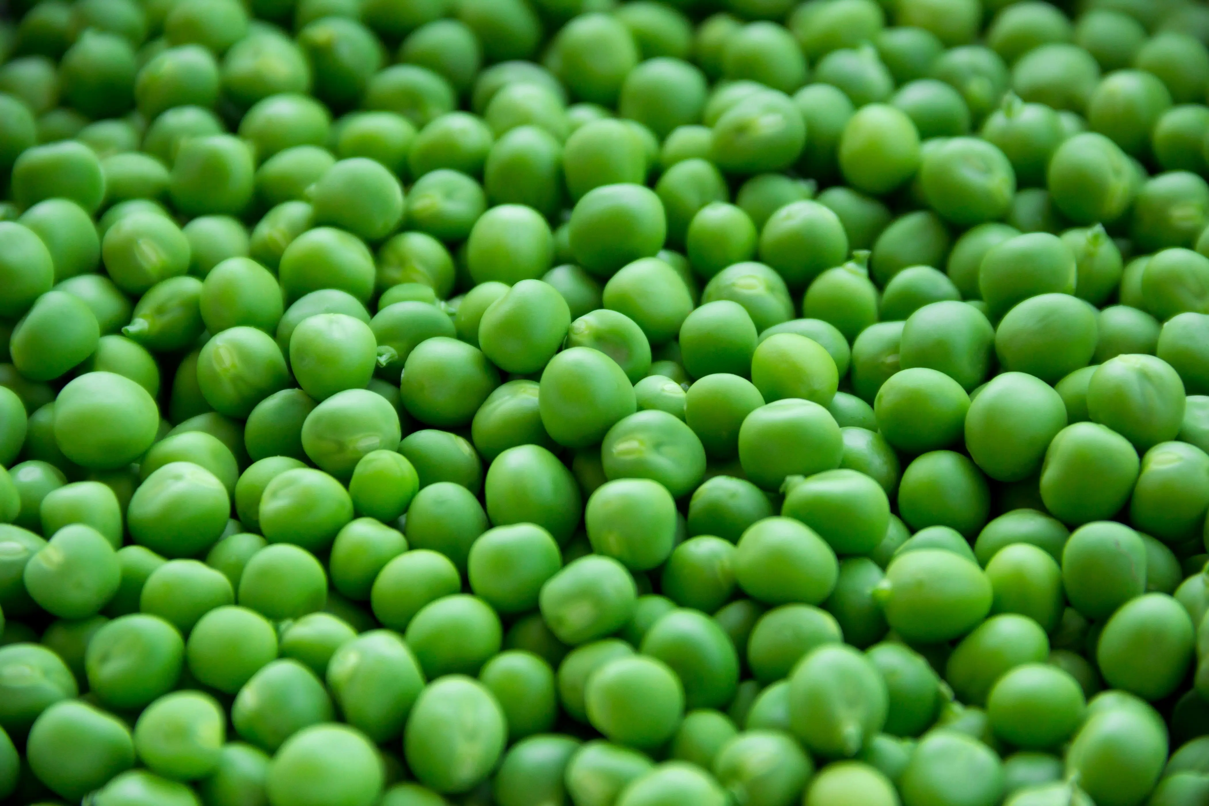 Kaya Nutrisi, Inilah Daftar Vitamin dan Mineral Penting dalam Kacang Polong