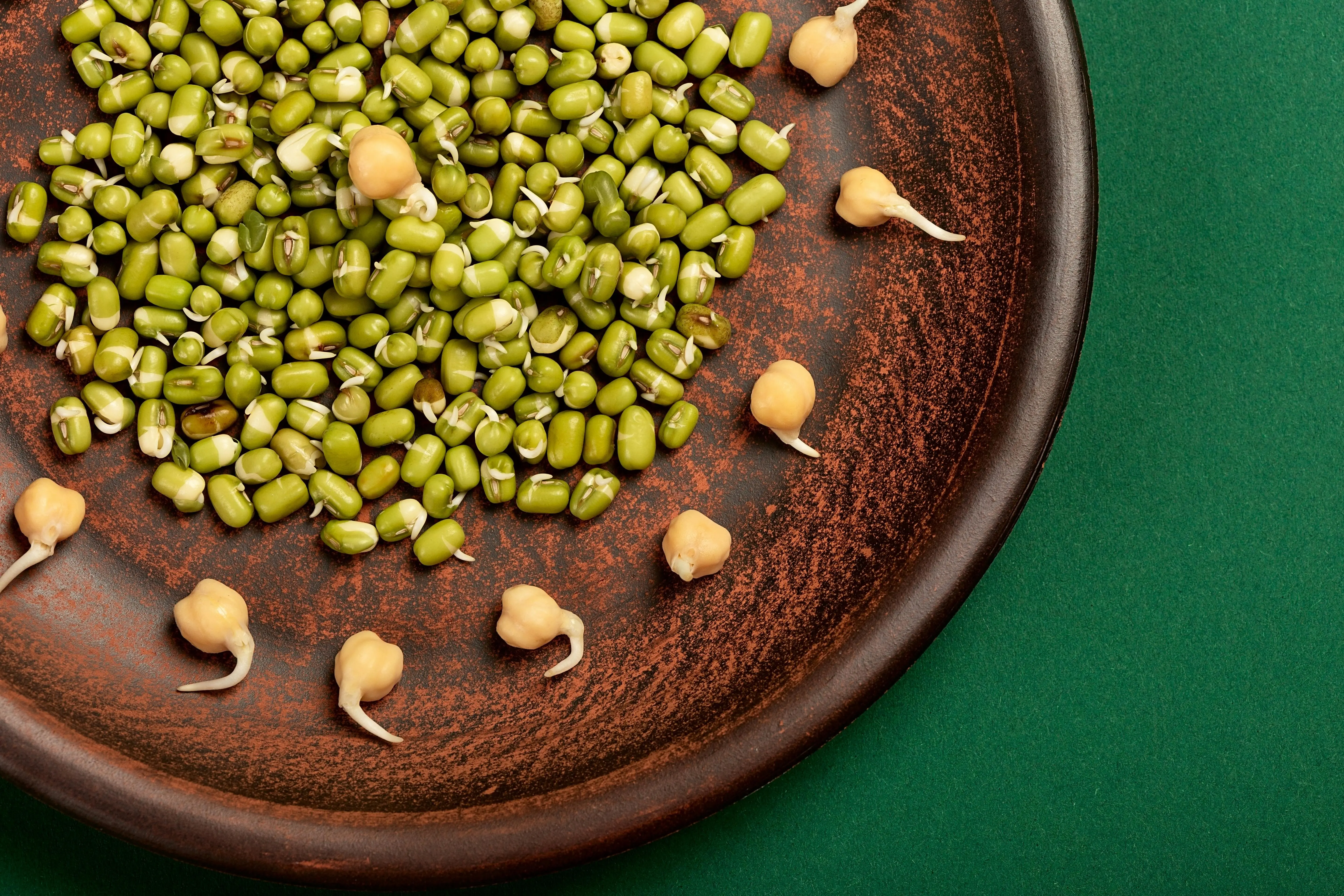 Dilema Karbohidrat: Mengulas Kandungan Nutrisi Kacang Hijau dalam Standar Diet Keto