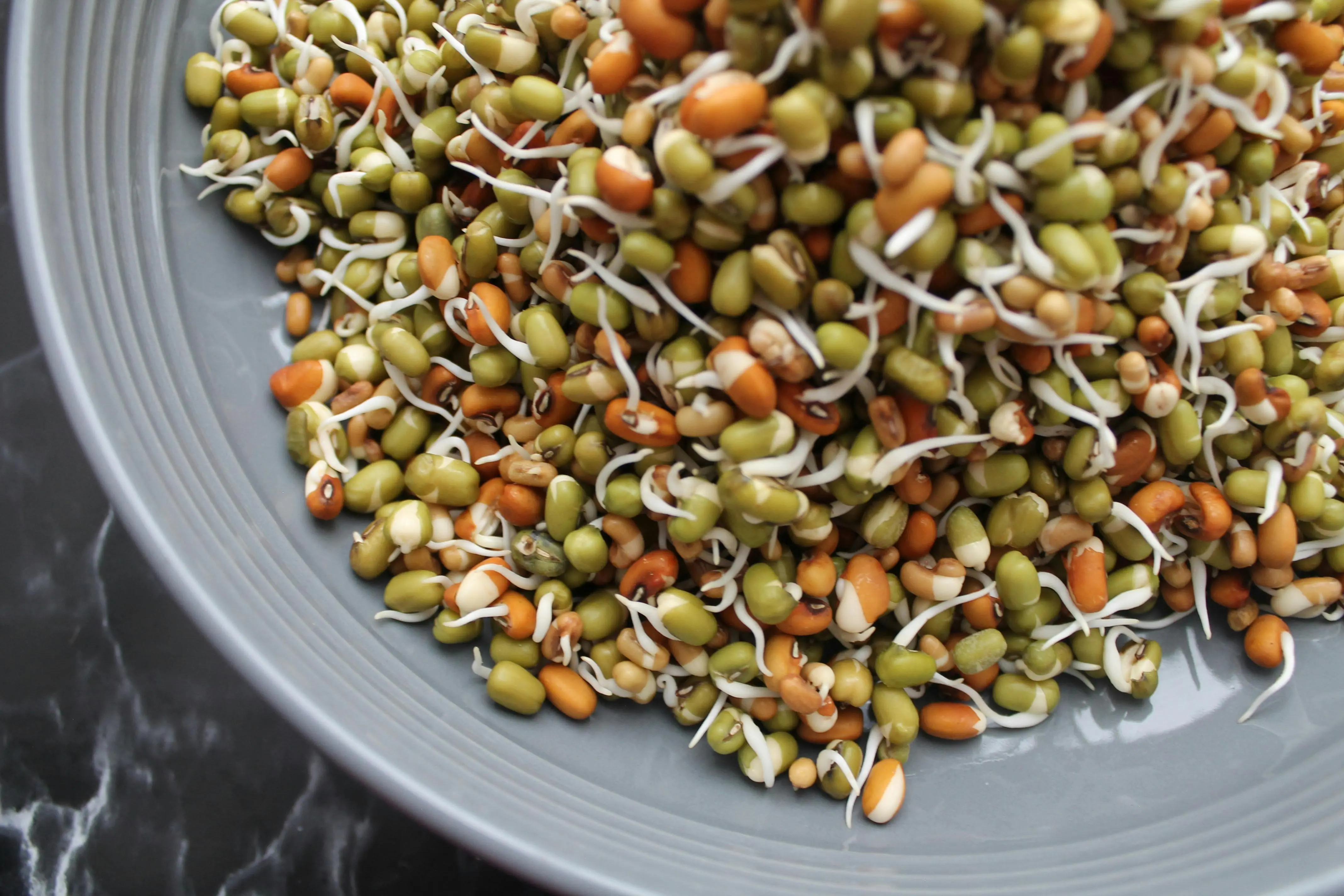 Kacang Hijau: Solusi Alami dan Bernutrisi untuk Diet Rendah Gluten