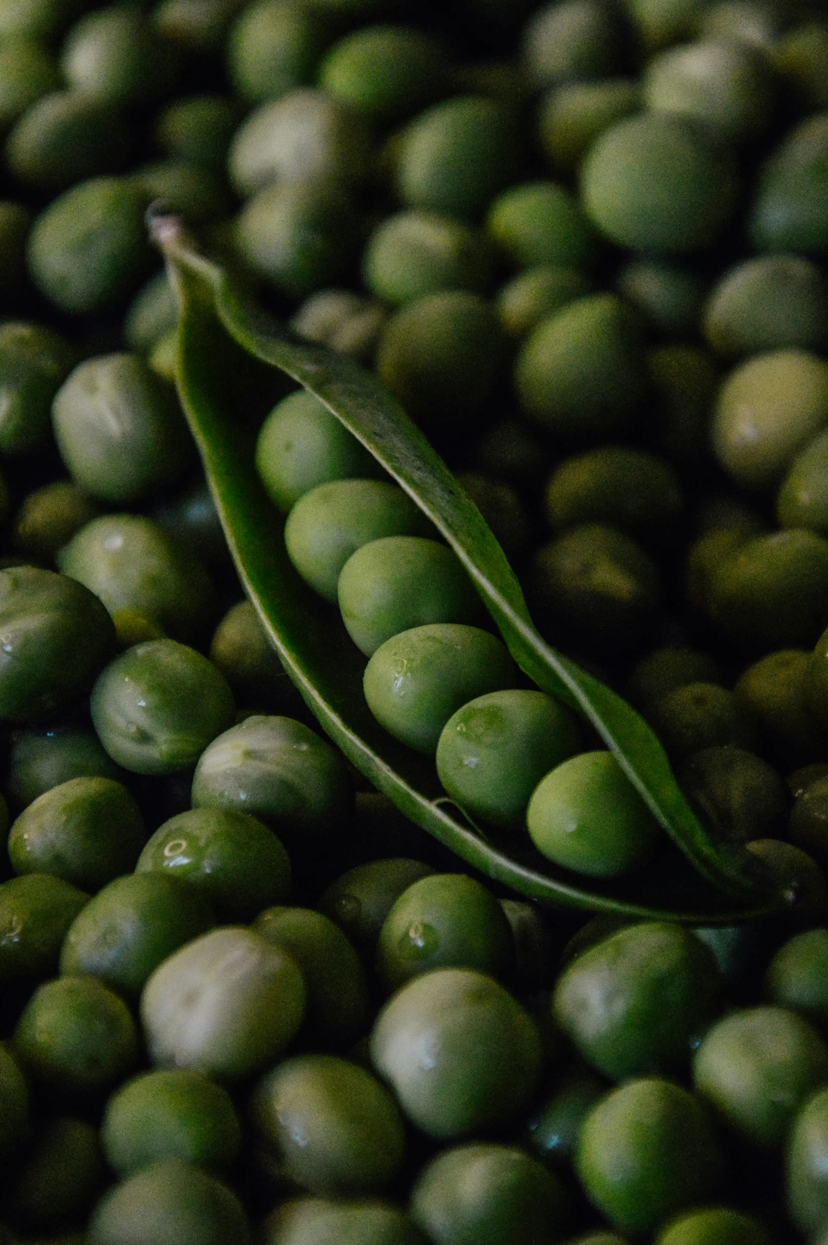 Kandungan Nutrisi Kacang Polong yang Baik untuk Kesehatan: Kecil Bentuknya, Besar Manfaatnya