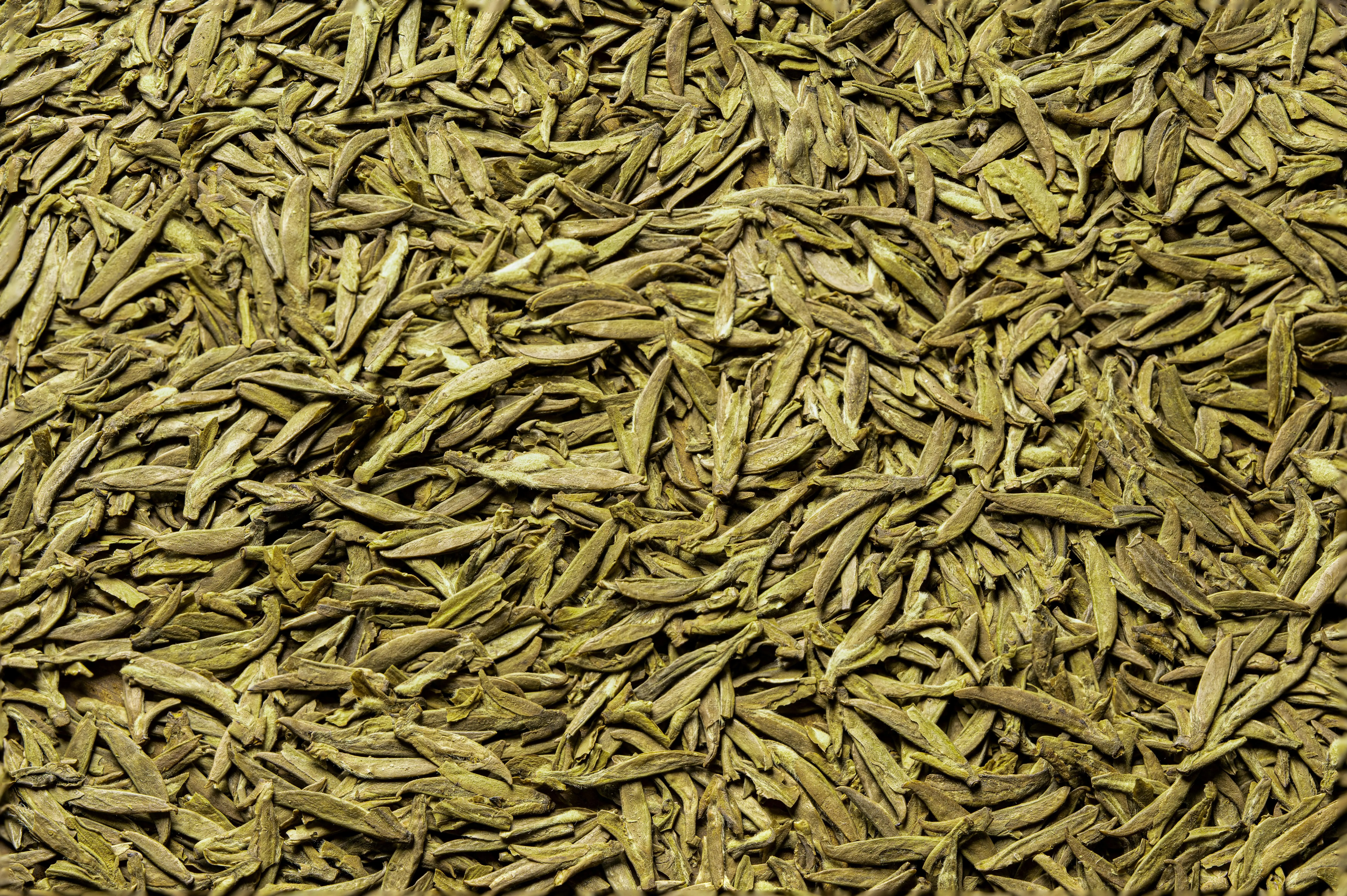 Lebih dari Sekadar Minuman: Menelusuri Jejak Evolusi Daun Teh dalam Peradaban Manusia