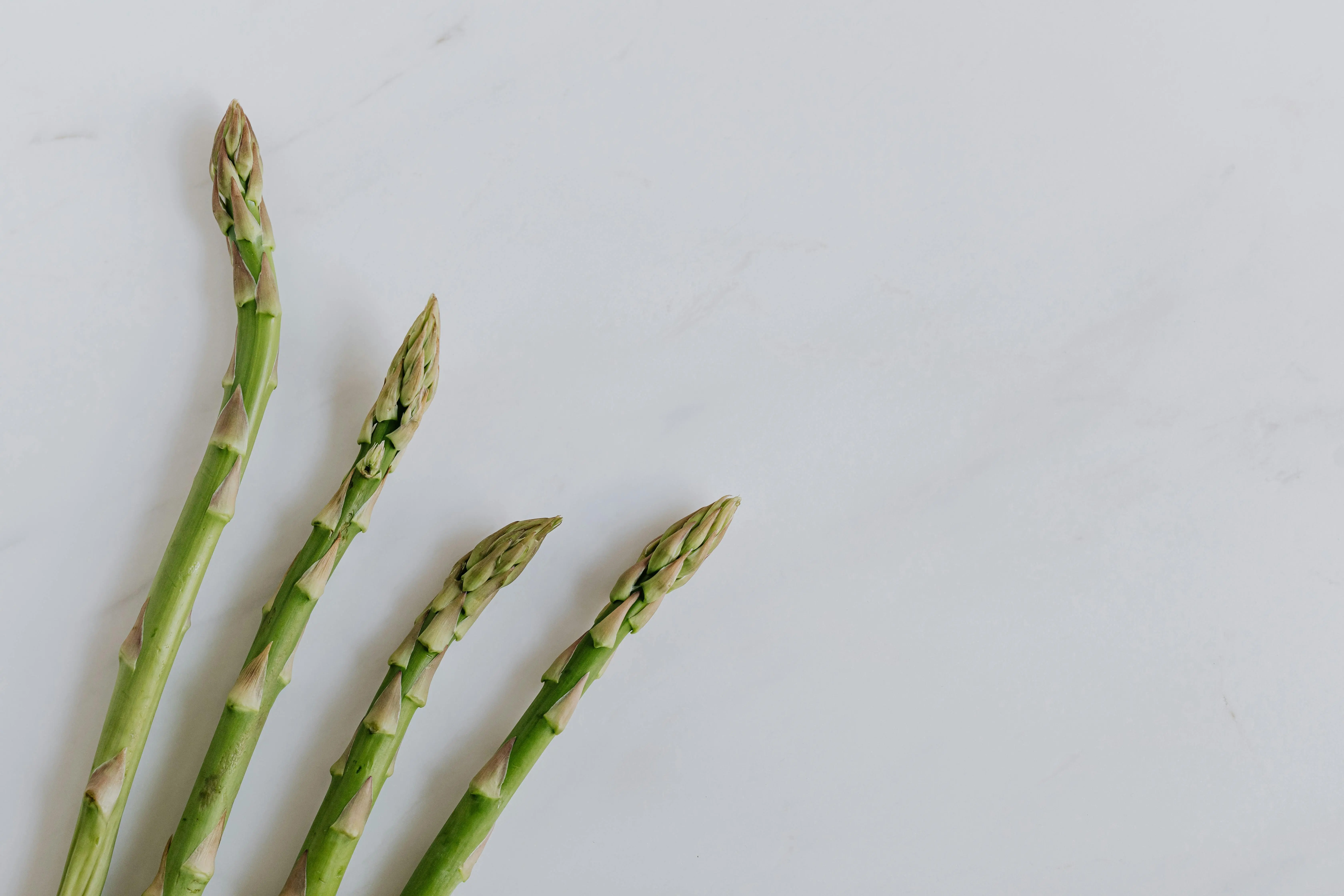 Cara Alami untuk Membantu Turunkan Risiko Hipertensi dengan Mengkonsumsi Asparagus Secara Rutin