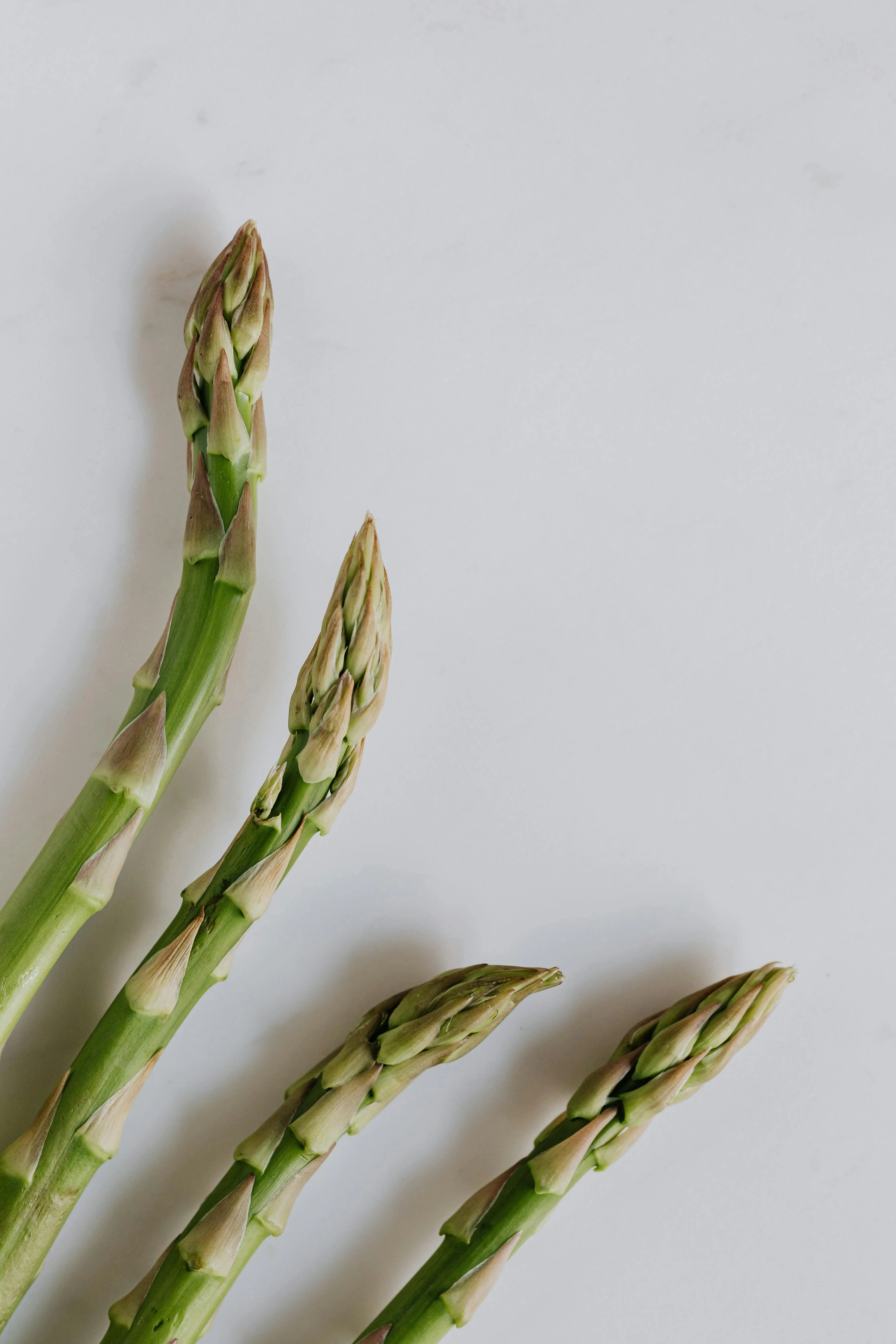 Bedah Nutrisi Asparagus: Kandungan Rahasia untuk Kesehatan Jantung dan Pencernaan