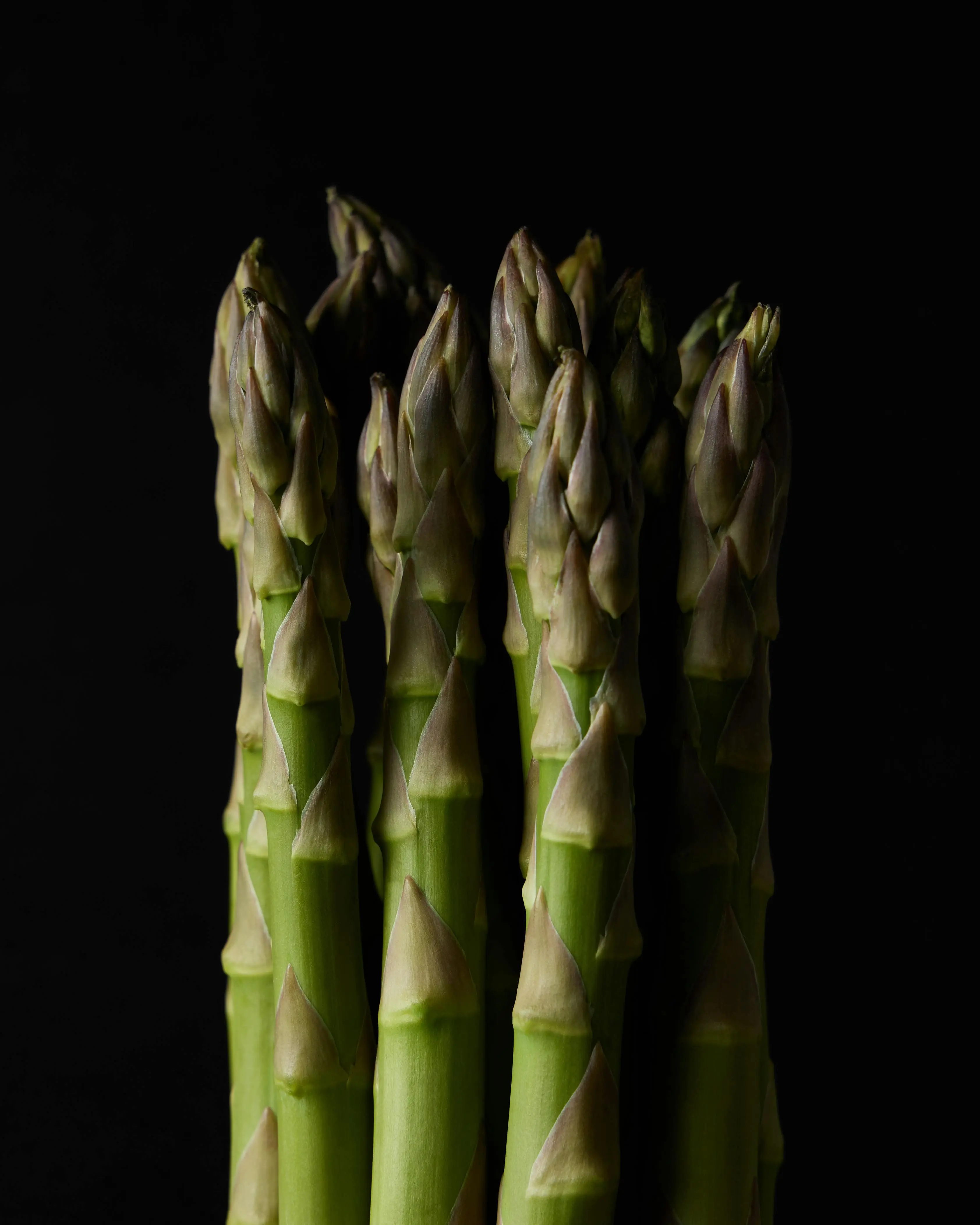 Rahasia Pencernaan Lancar: Mengupas Manfaat Serat Unggul dalam Asparagus