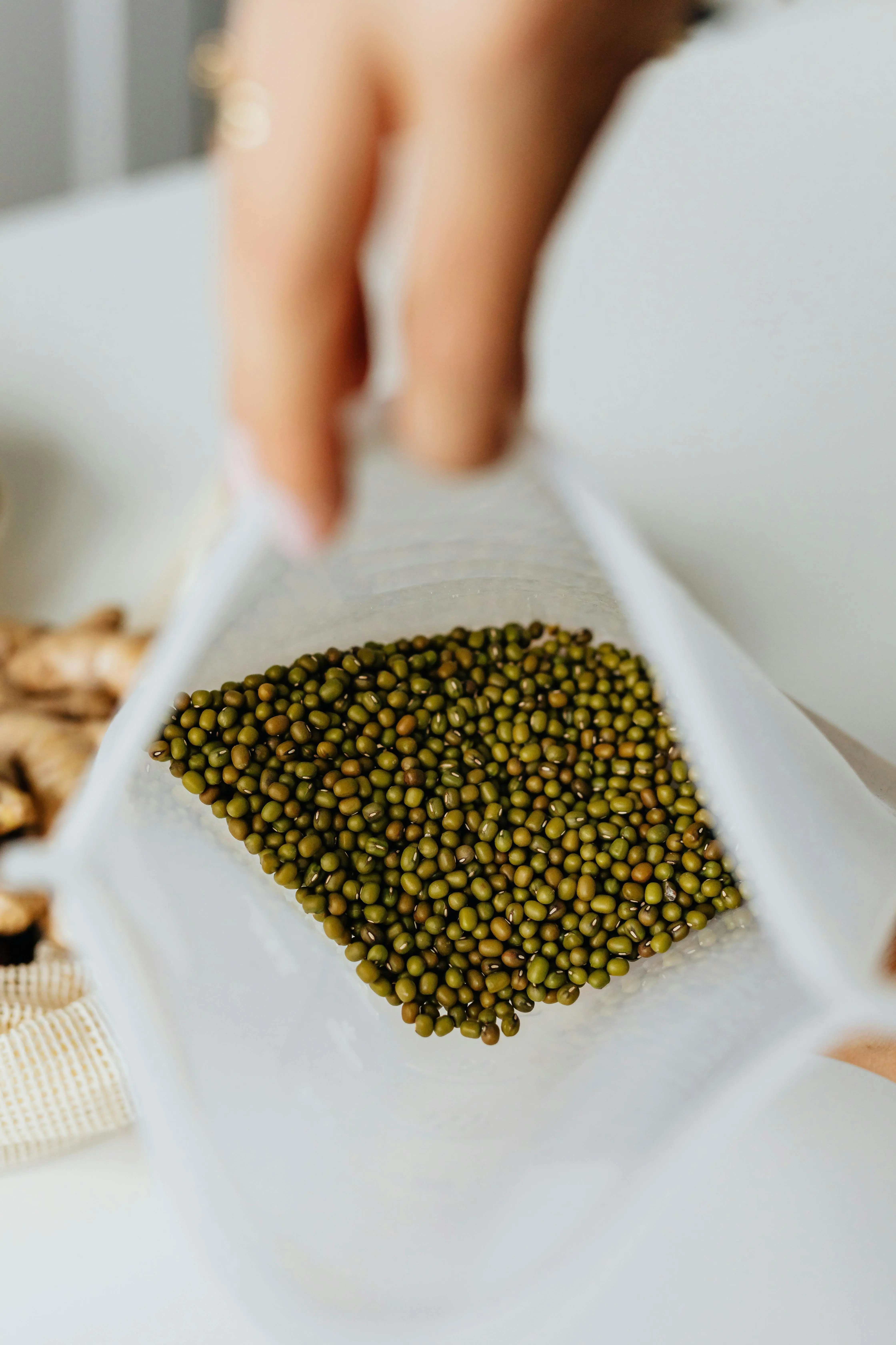 Kacang Hijau untuk Performa Olahraga: Sumber Protein Nabati yang Sering Terlupakan