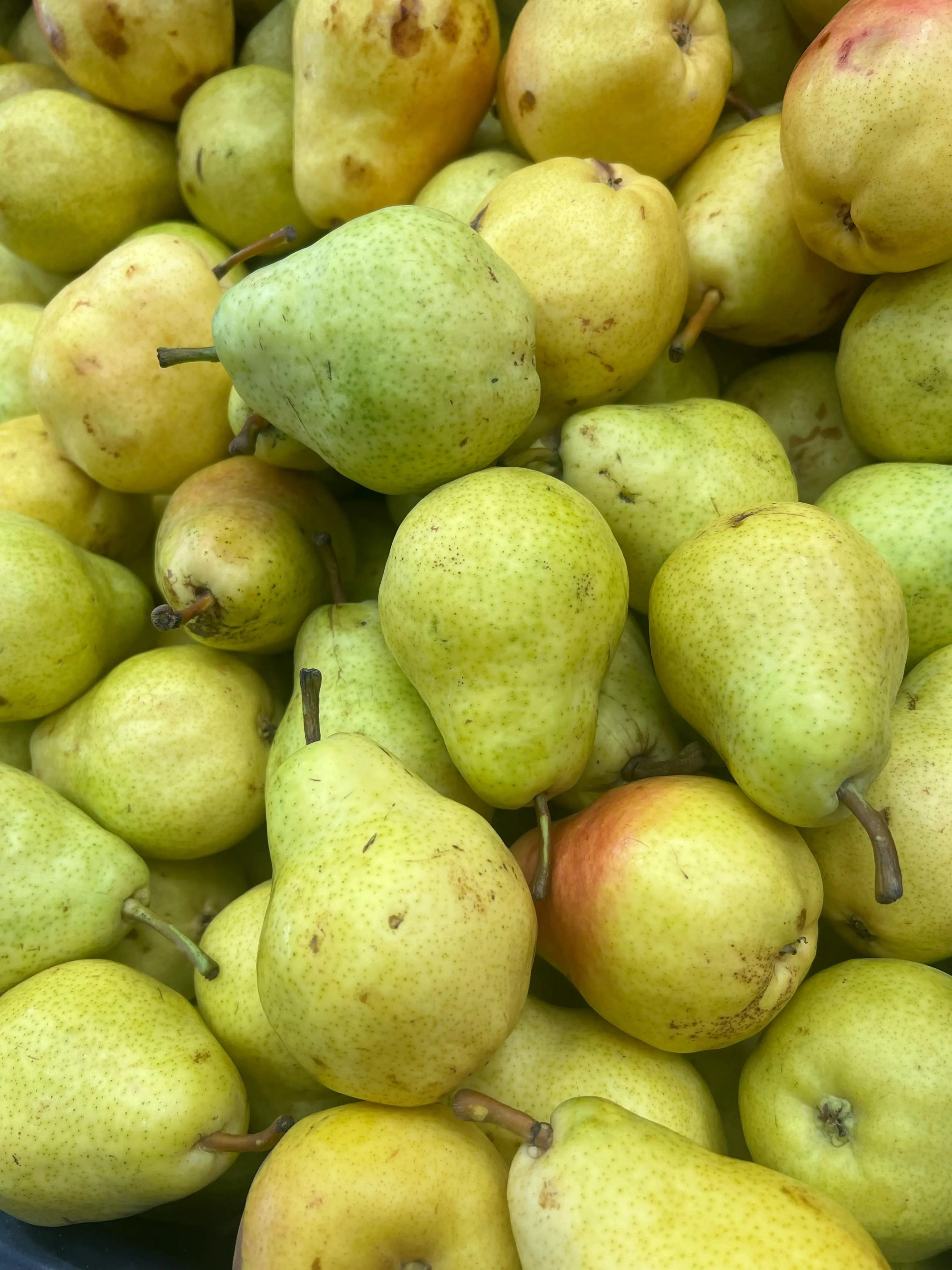 Rahasia Flavonoid dalam Buah Pir: Senjata Alami Melawan Radikal Bebas