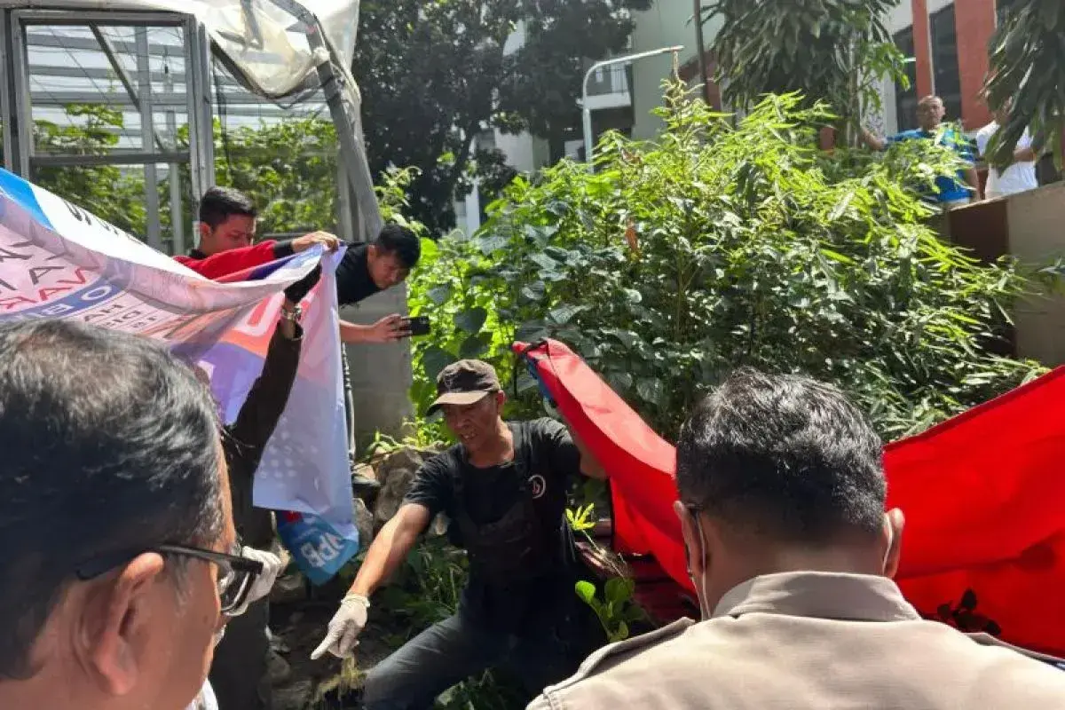 Detik-Detik Kejadian di Flyover Pasupati: Korban Tinggalkan Motor Sebelum Melompat ke Bawah