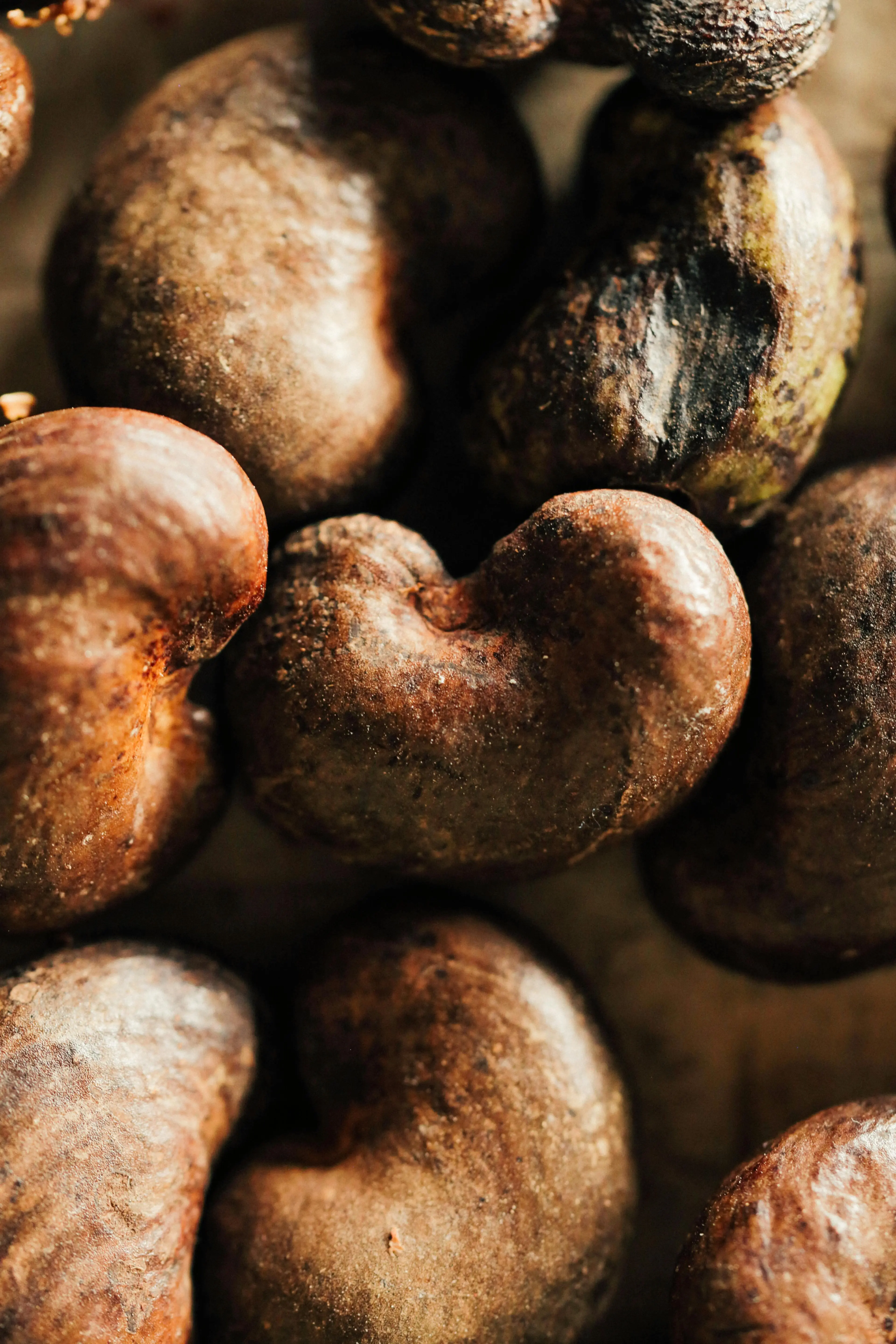 Kacang Mede untuk Diet: Benarkah Efektif Menurunkan Berat Badan?