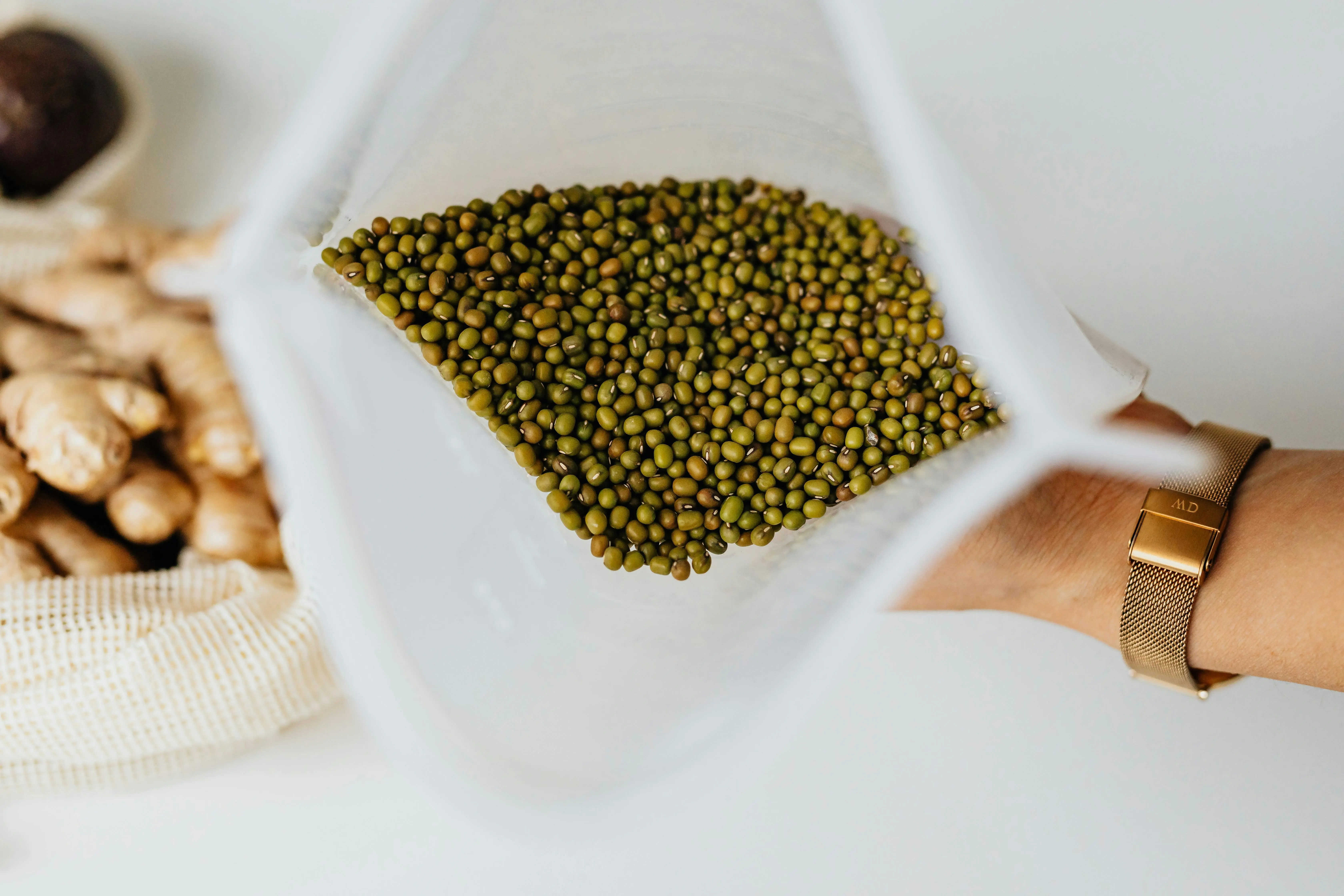 Asal Usul dan Penyebaran Kacang Hijau di Dunia: Perjalanan Panjang Legum Kuno Menjadi Pangan Global