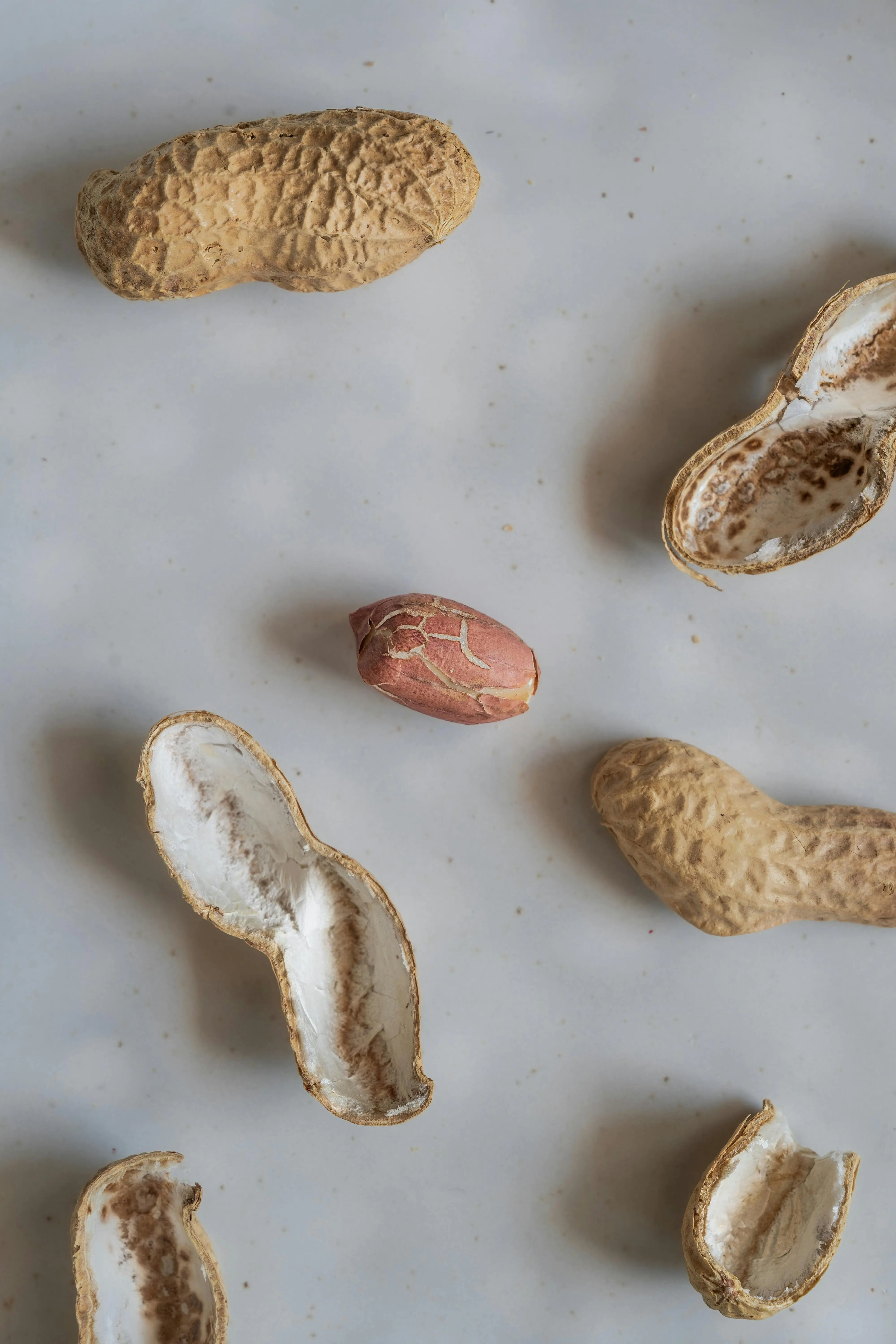 Peran Penting Kacang Tanah dalam Pola Makan Sehari-hari: Nutrisi Murah dengan Manfaat Mewah
