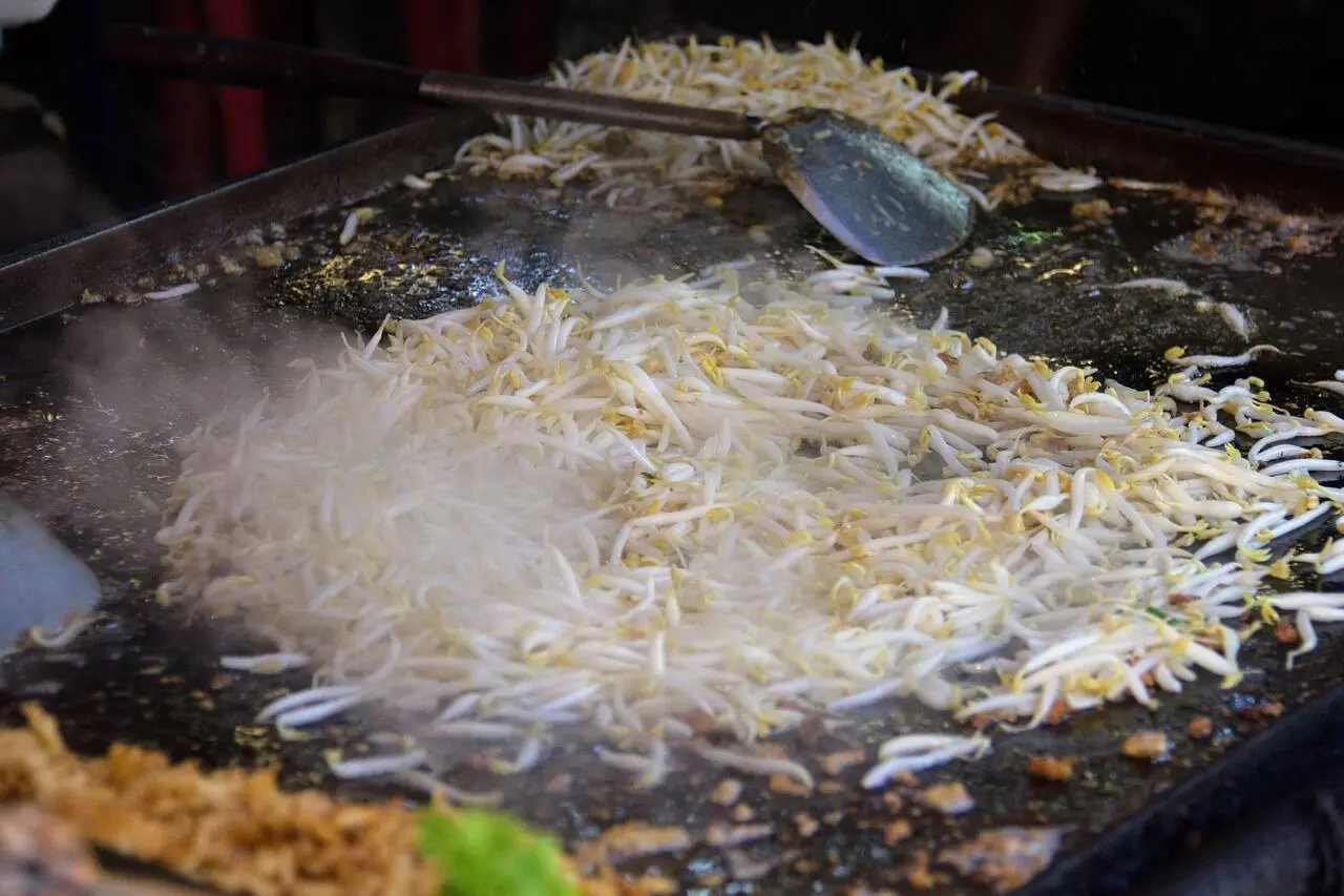 Mengapa Tauge Disebut Makanan Padat Gizi? Menguak Rahasia di Balik Sayuran Kecambah