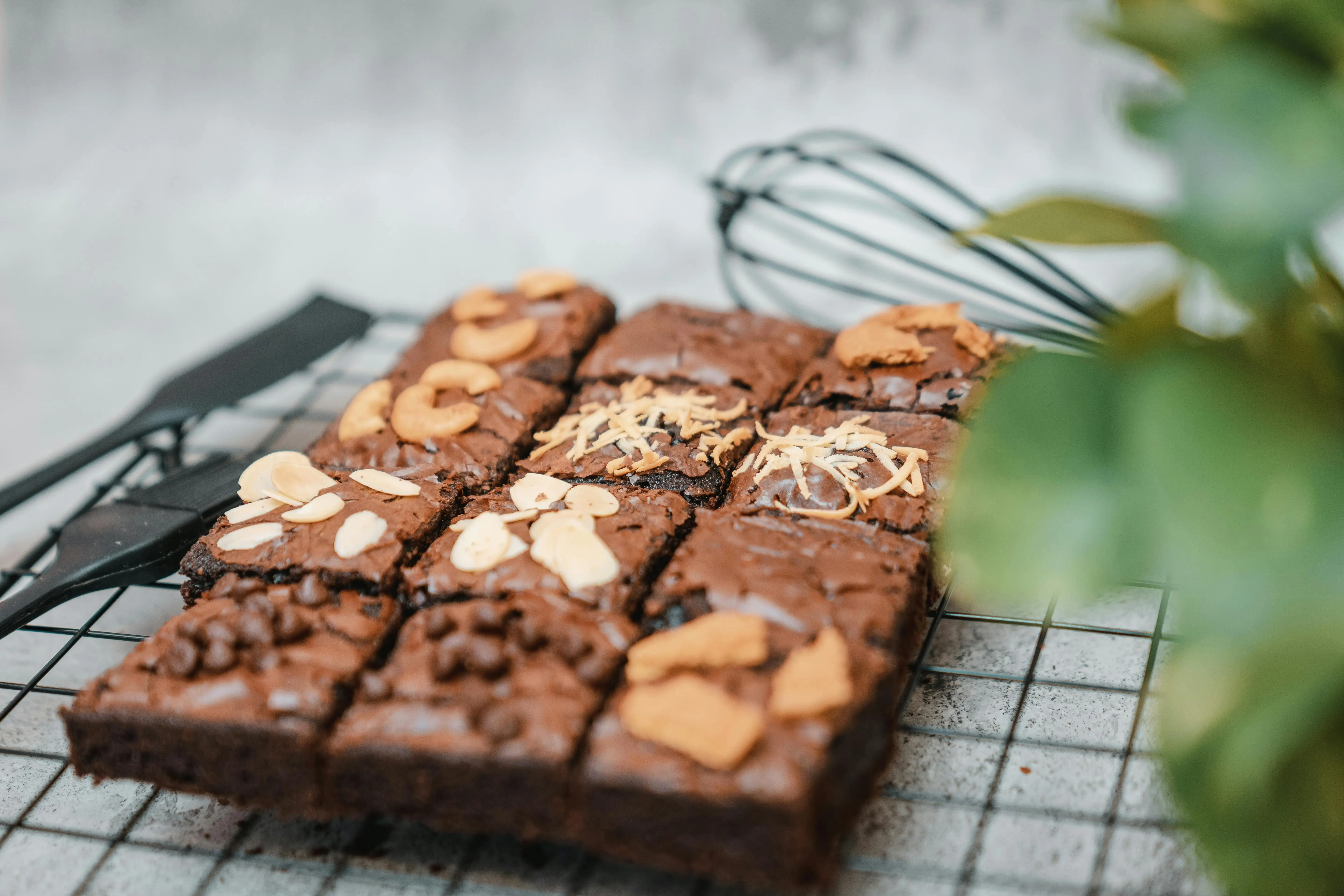 Revolusi Baking: Bagaimana Teknologi Mikrowave Memangkas Waktu Produksi Brownies Secara Signifikan
