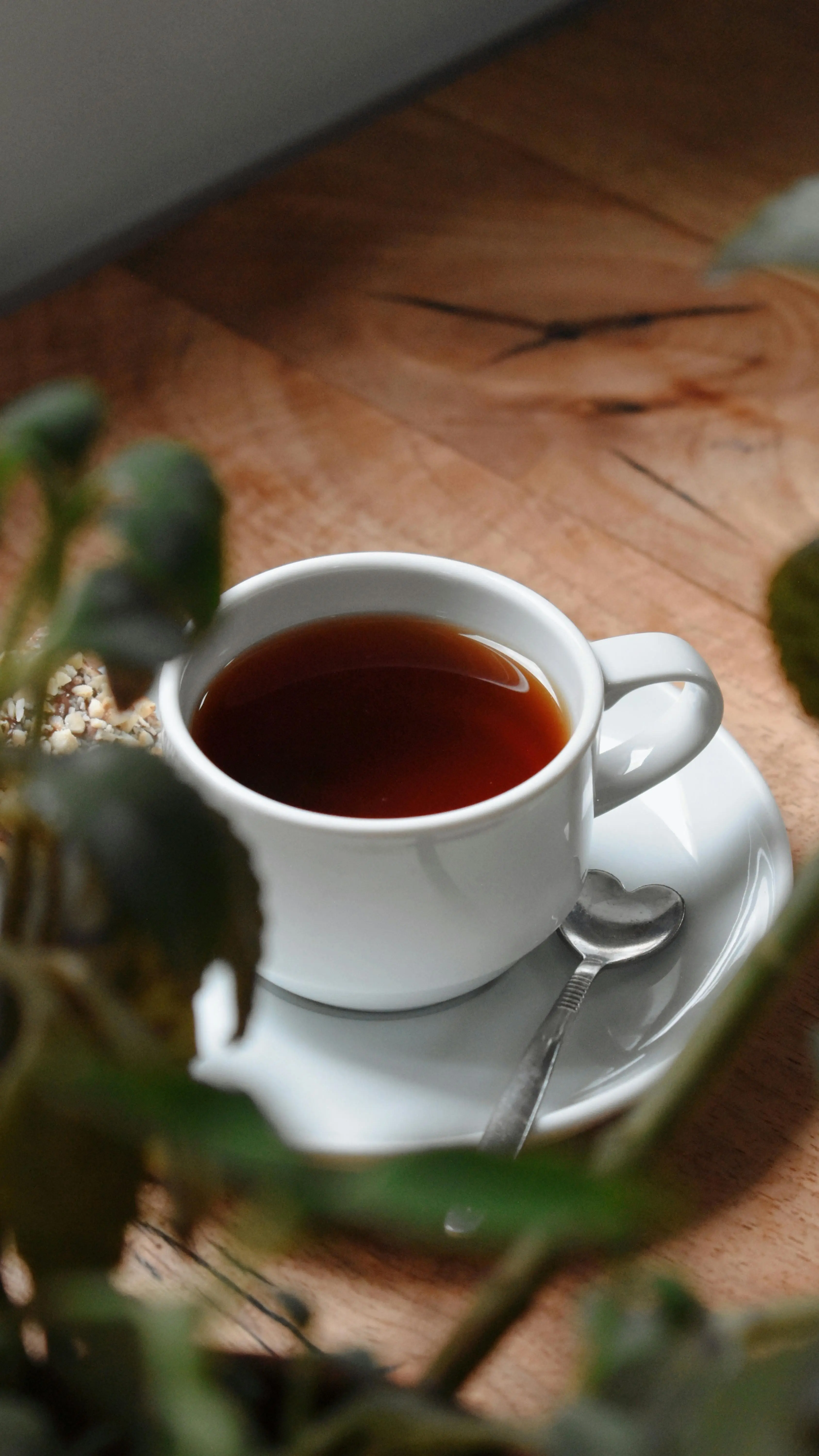 Lebih dari Sekadar Minuman: Mengupas Manfaat Daun Teh bagi Kesehatan Jangka Panjang
