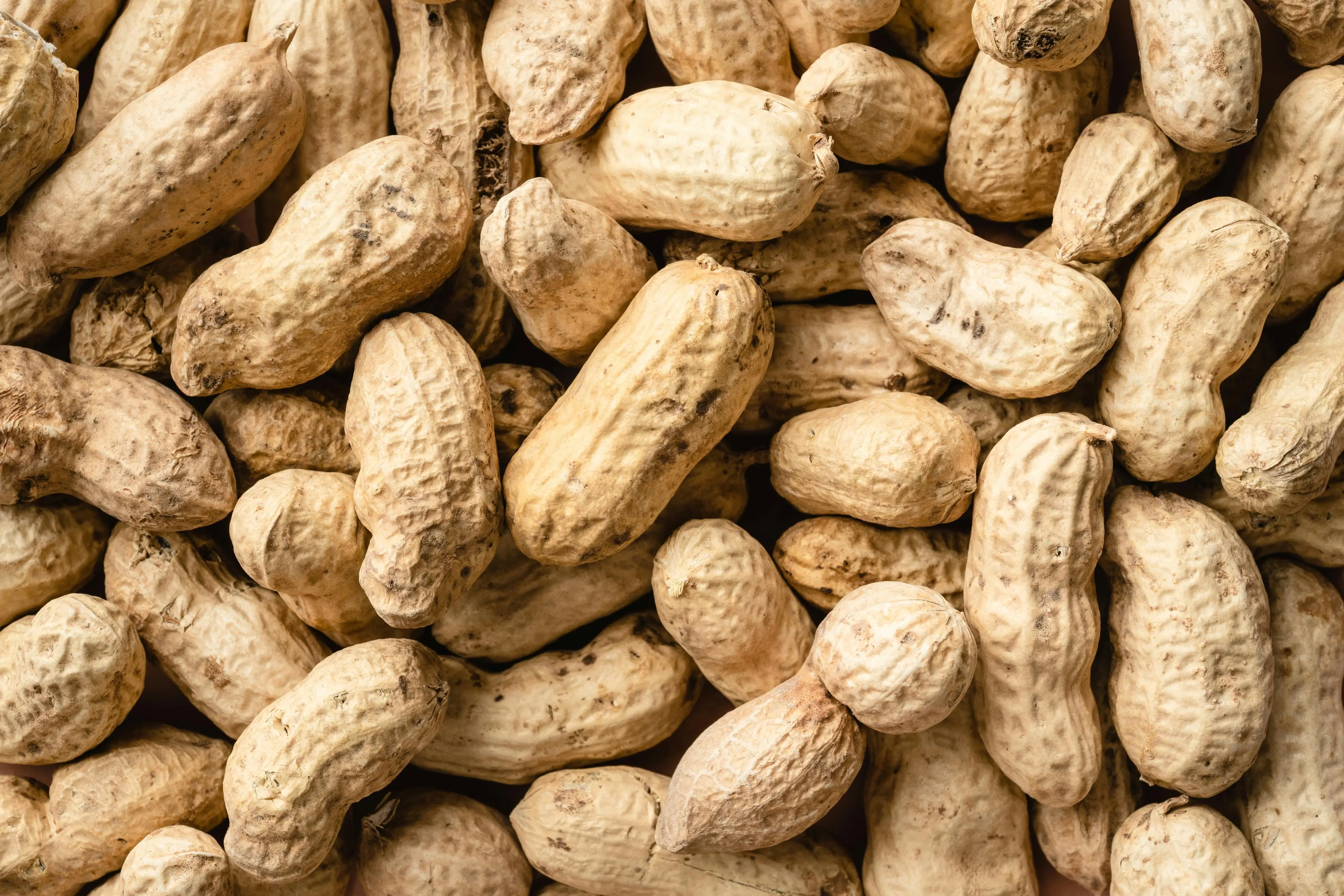 Sering Dianggap Bikin Gemuk, Benarkah Kacang Tanah Ampuh Turunkan Berat Badan?