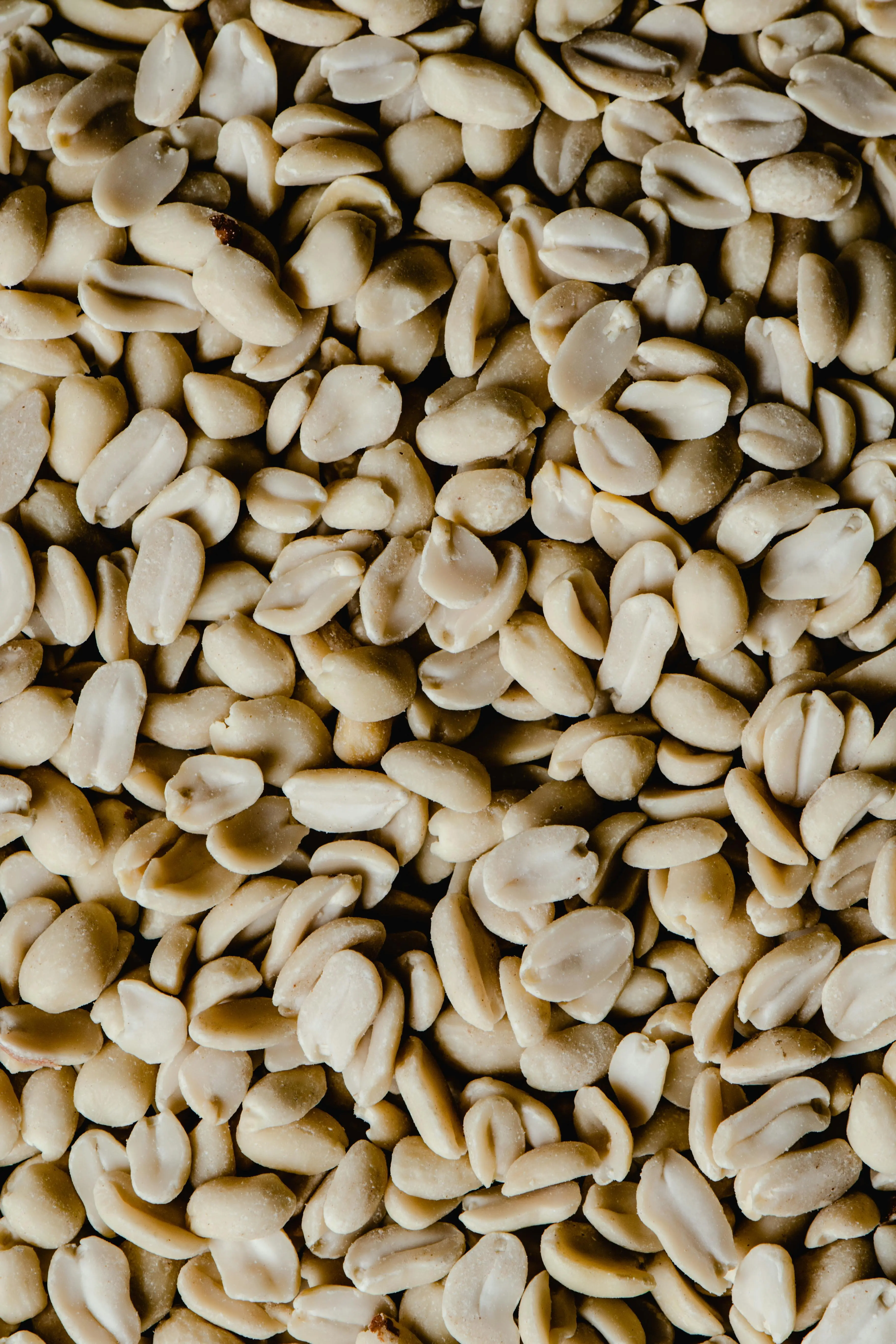 Rahasia Sehat dalam Segenggam Kacang Tanah: Superfood Antioksidan yang Terlupakan