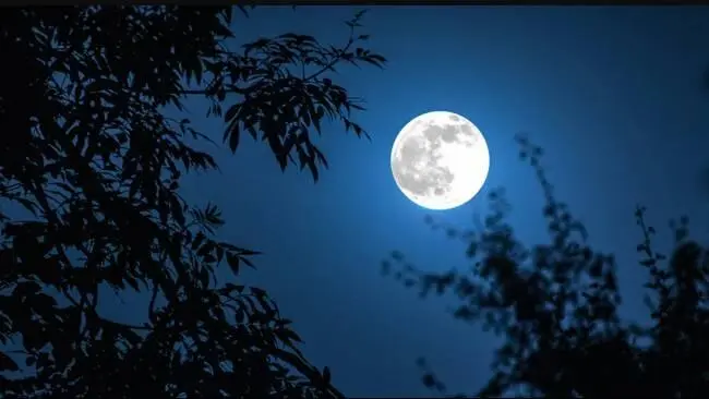Efek Blue Moon dan Pengaruhnya Terhadap Pasang Surut Air Laut yang Wajib Diketahui