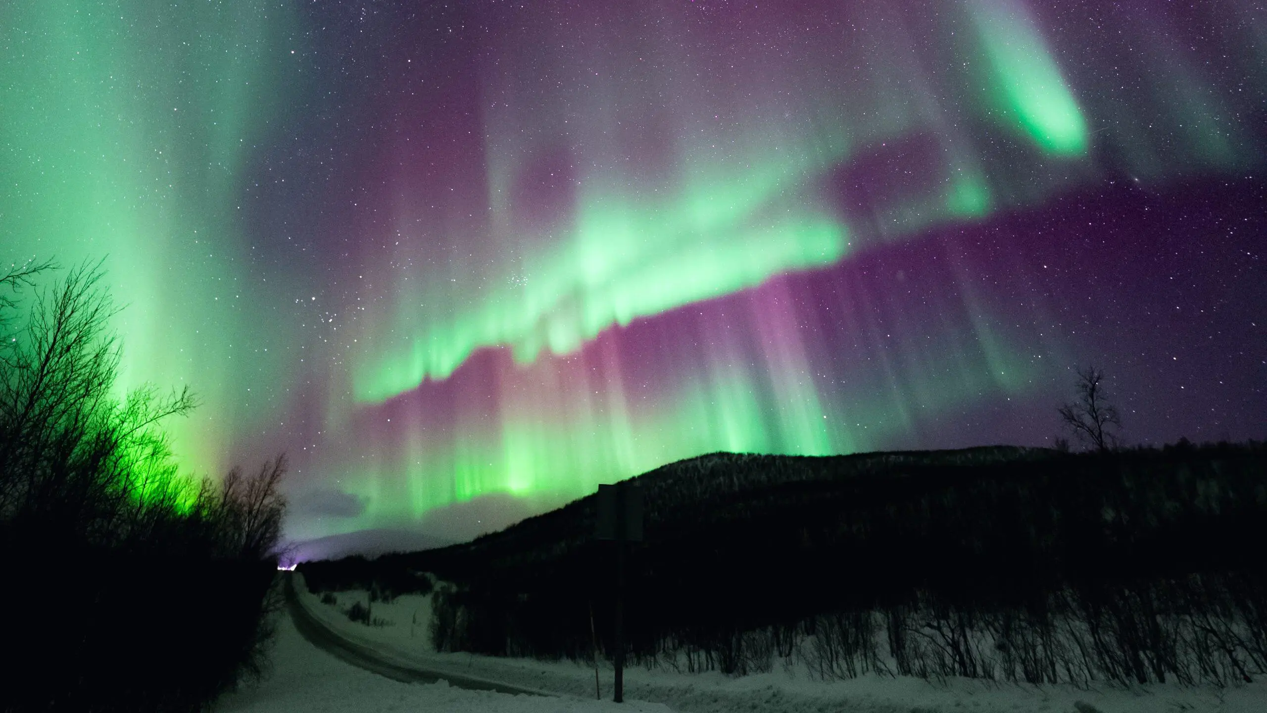 Misteri Aurora Borealis: Mengapa Fenomena Ini Tak Muncul di Indonesia?
