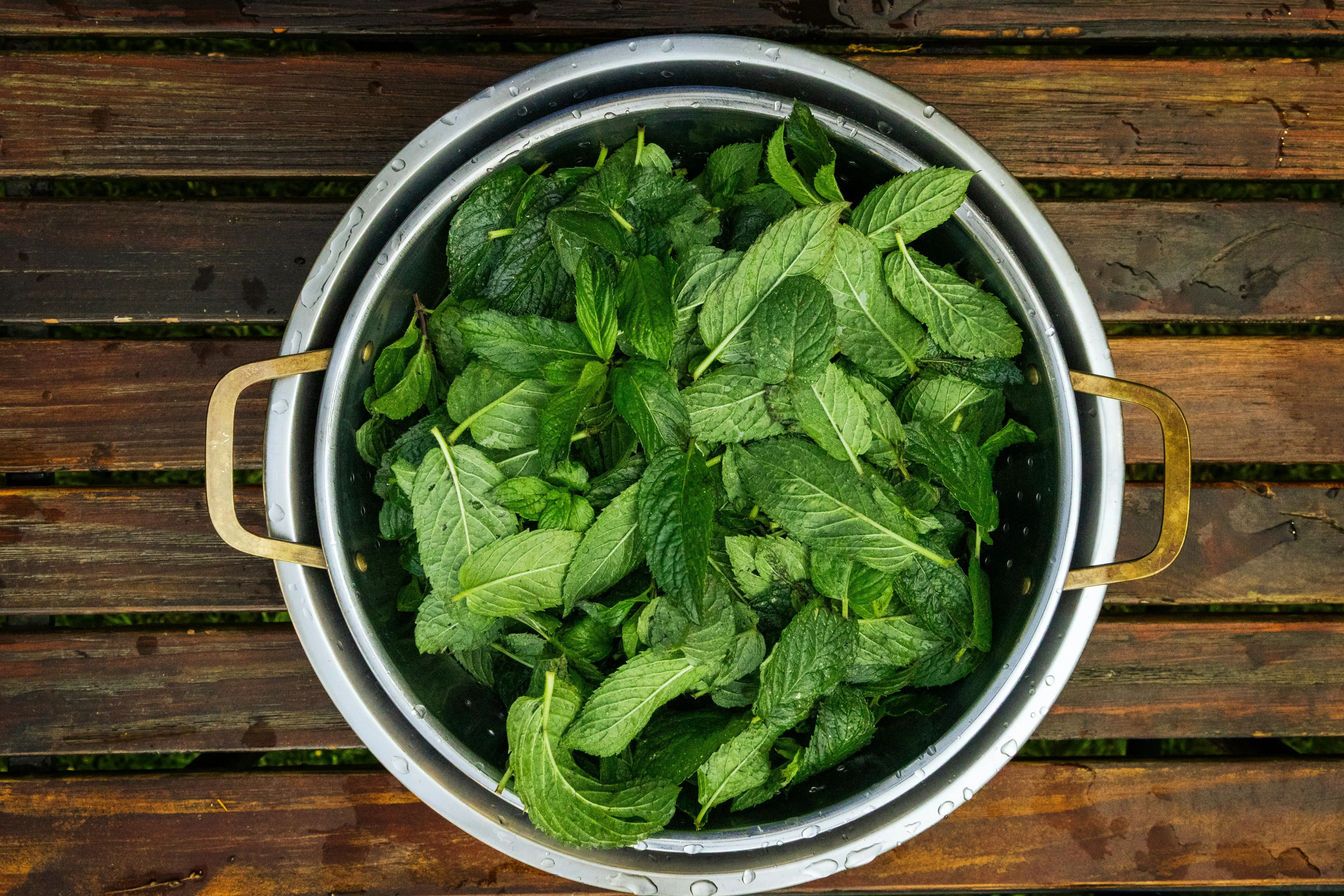 Rahasia di Balik Sensasi Dingin: Mengapa Aroma Daun Mint Sangat Menyegarkan?