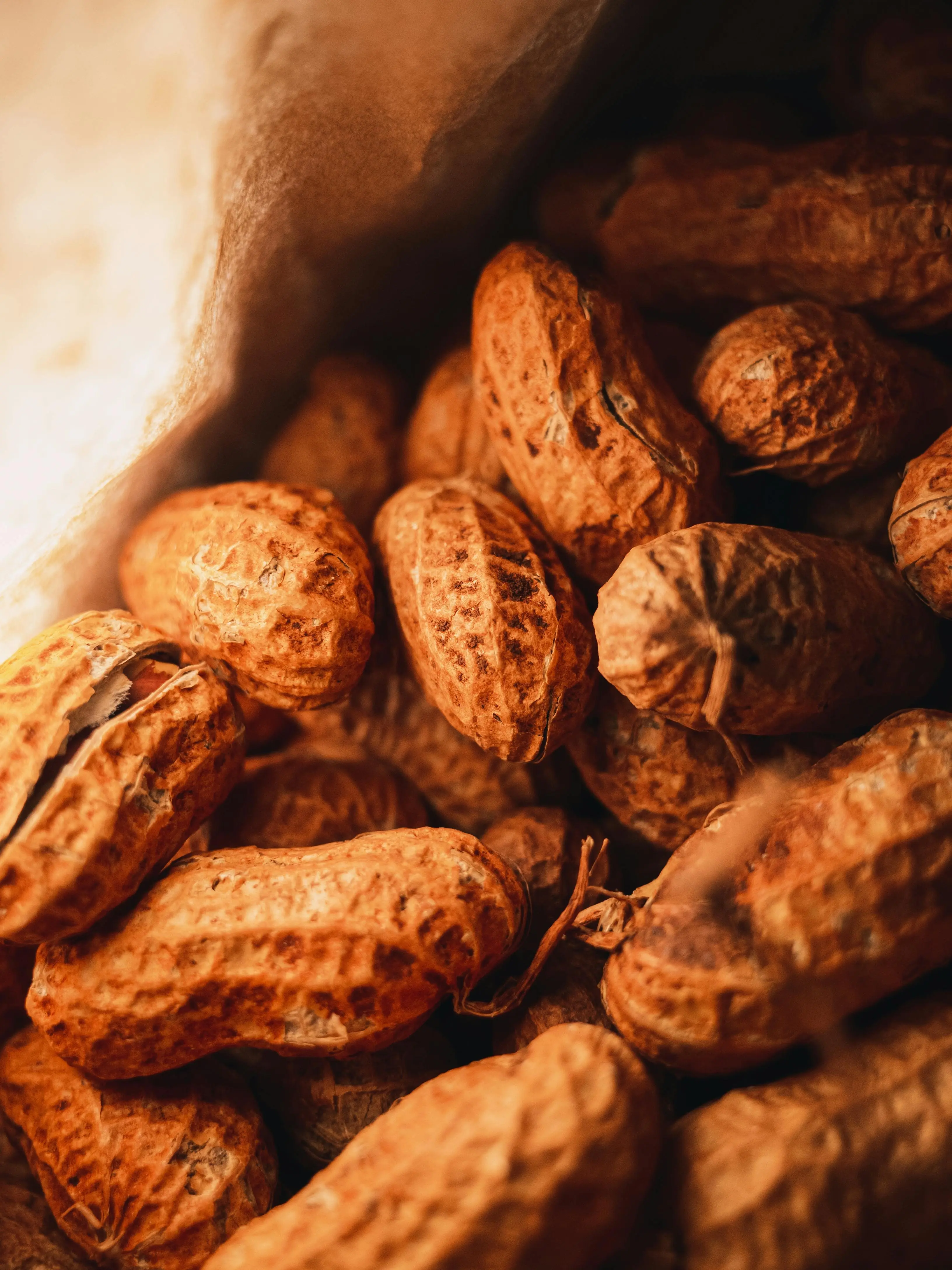 Rahasia Diet Sehat: Mengapa Anda Harus Mulai Mengonsumsi Kacang Tanah Rutin?
