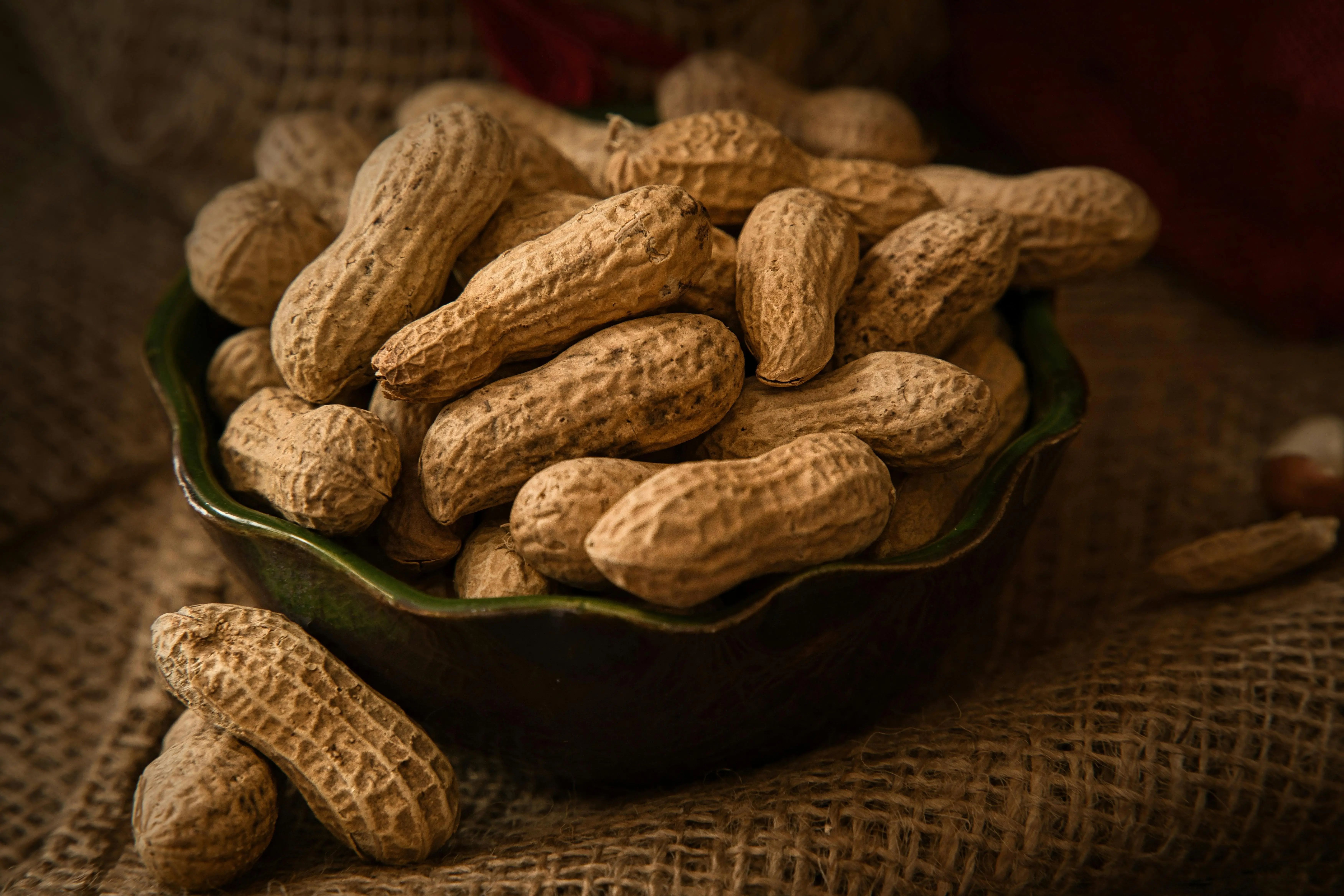 Kacang Tanah: Rahasia Protein Nabati Murah dengan Manfaat yang Luar Biasa