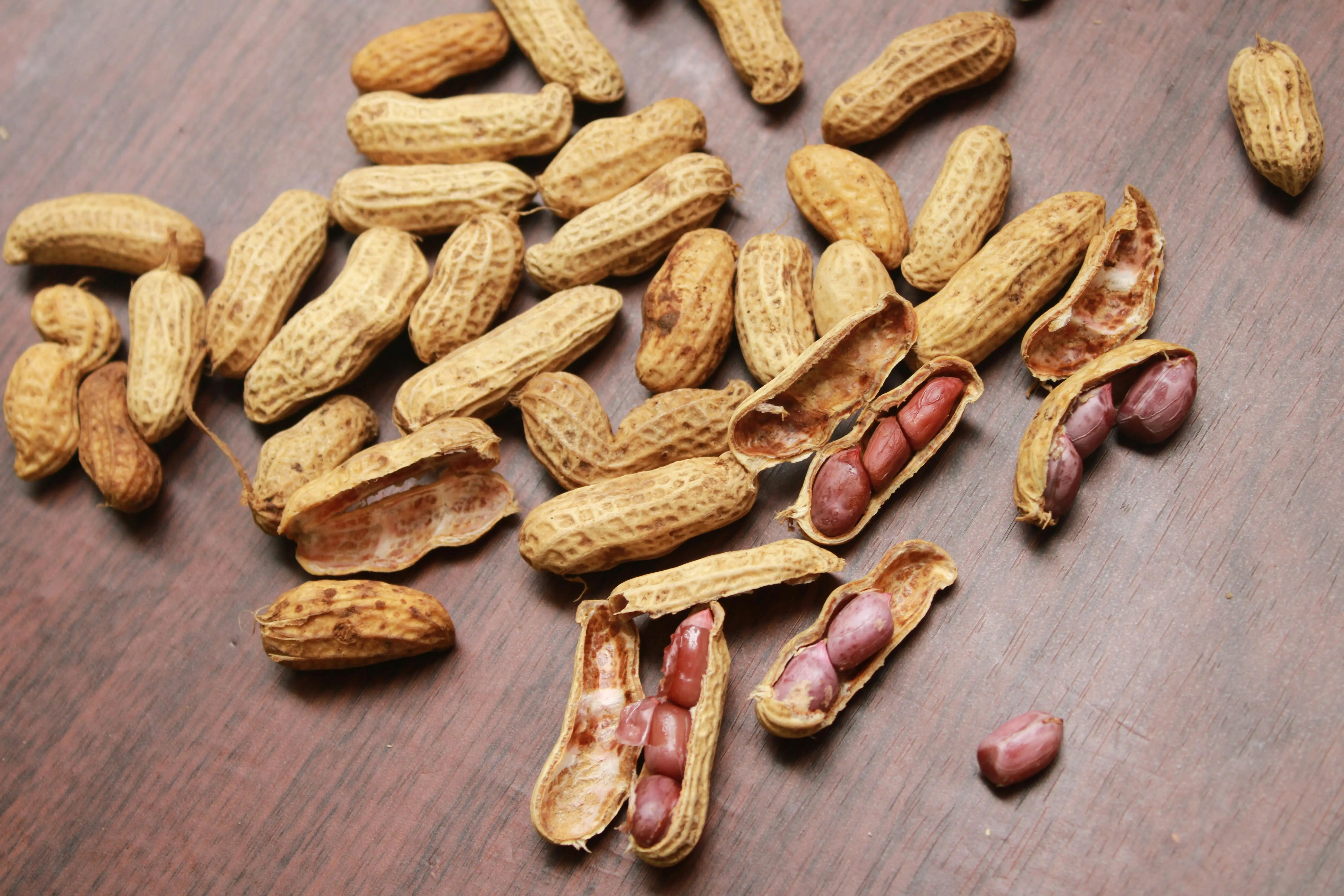 Kandungan Gizi Kacang Tanah: Sumber Protein Nabati yang Sering Terlupakan