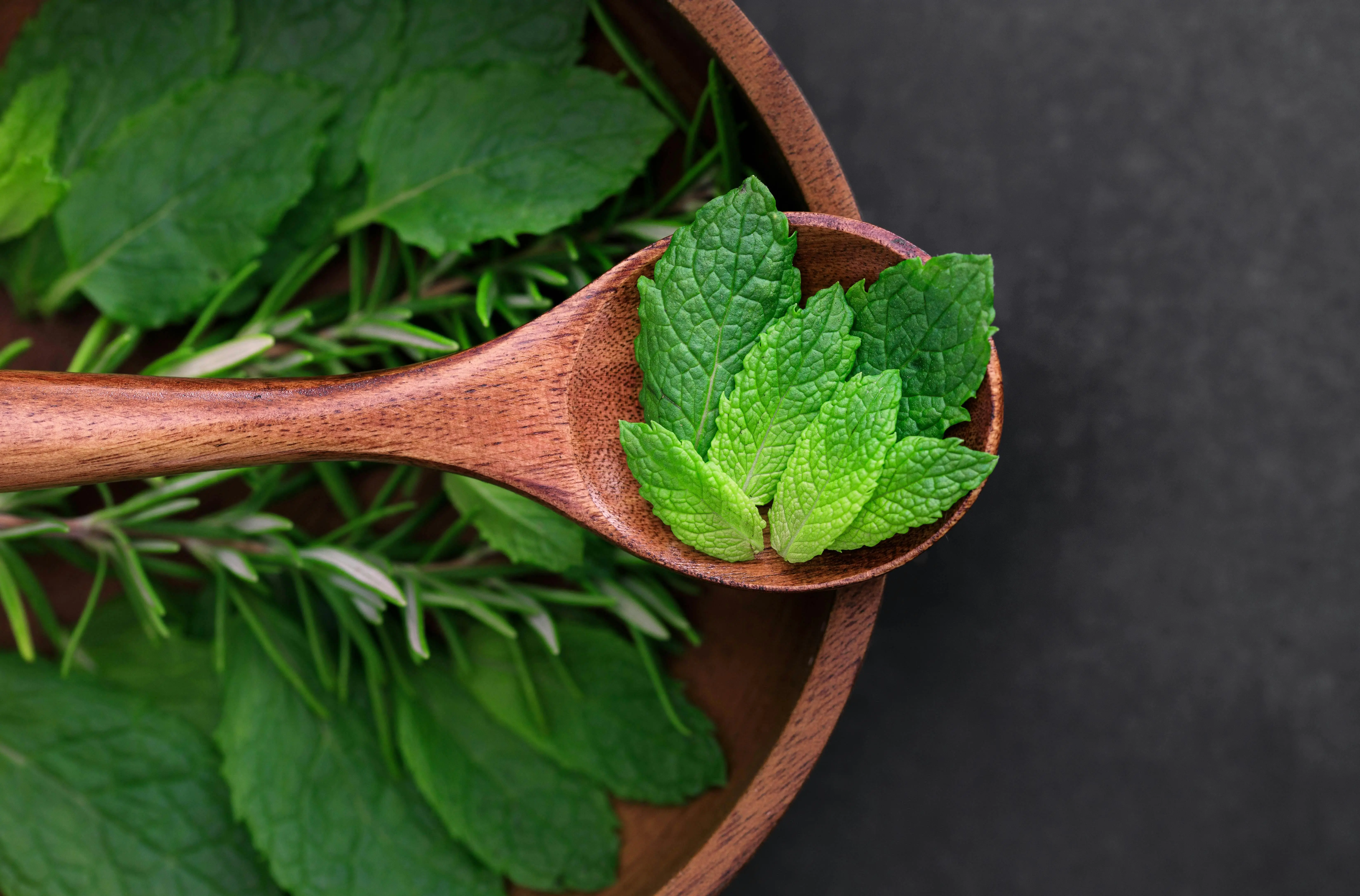 Panduan Daun Mint: Solusi Alami untuk Kesehatan Pencernaan dan Ketenangan Pikiran