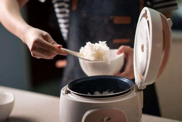 Tips Membersihkan Rice Cooker Agar Tidak Cepat Bau dan Nasi Tetap Pulen