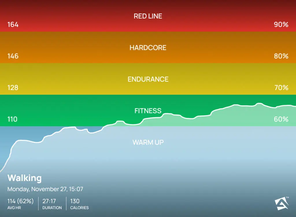 Mengenal Zone 2 Cardio: Rahasia Membakar Lemak Paling Efektif bagi Pemula