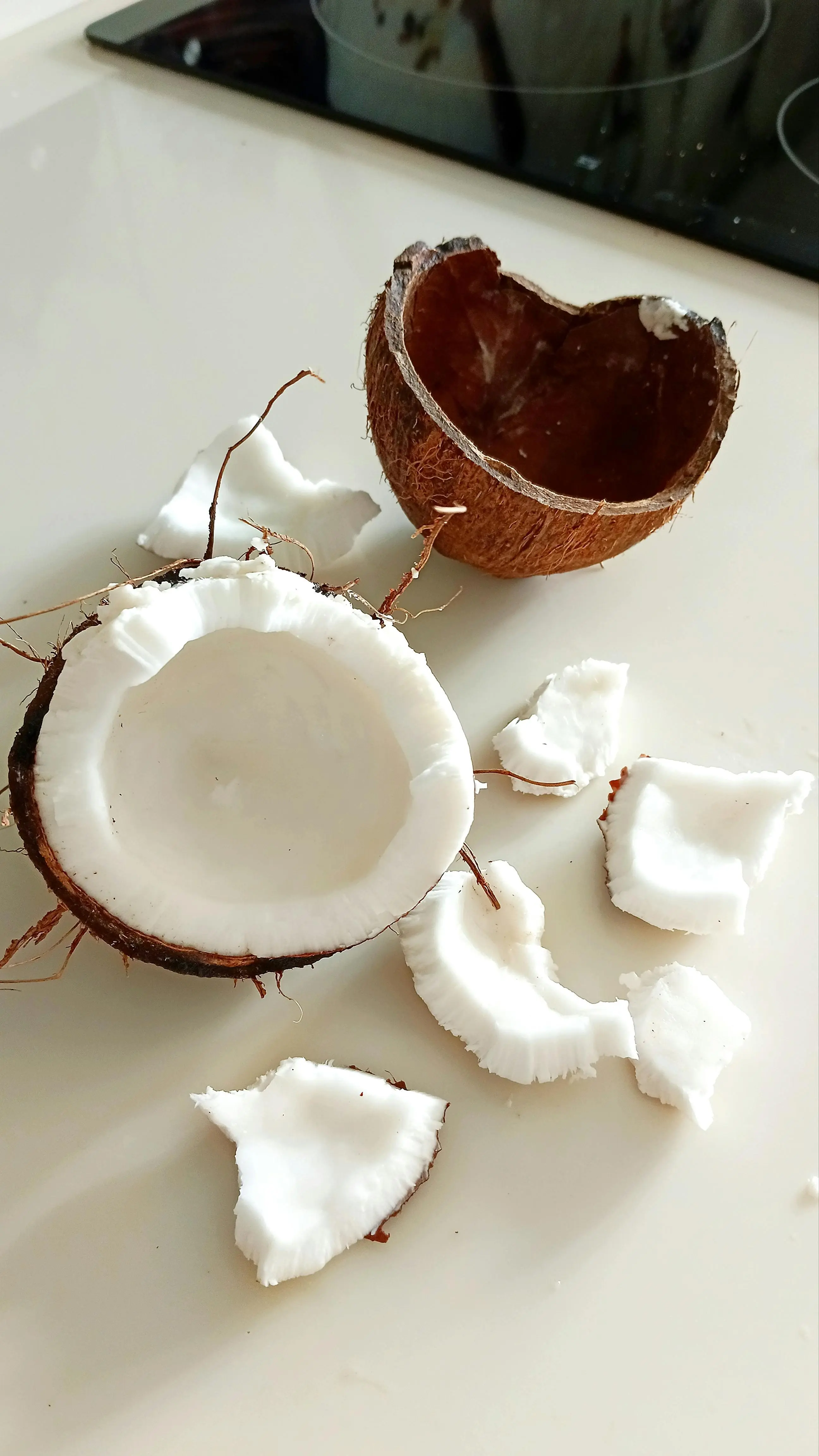 Mengenal Protein Daging Kelapa: Superfood Lokal yang Geser Tren Protein Nabati Dunia