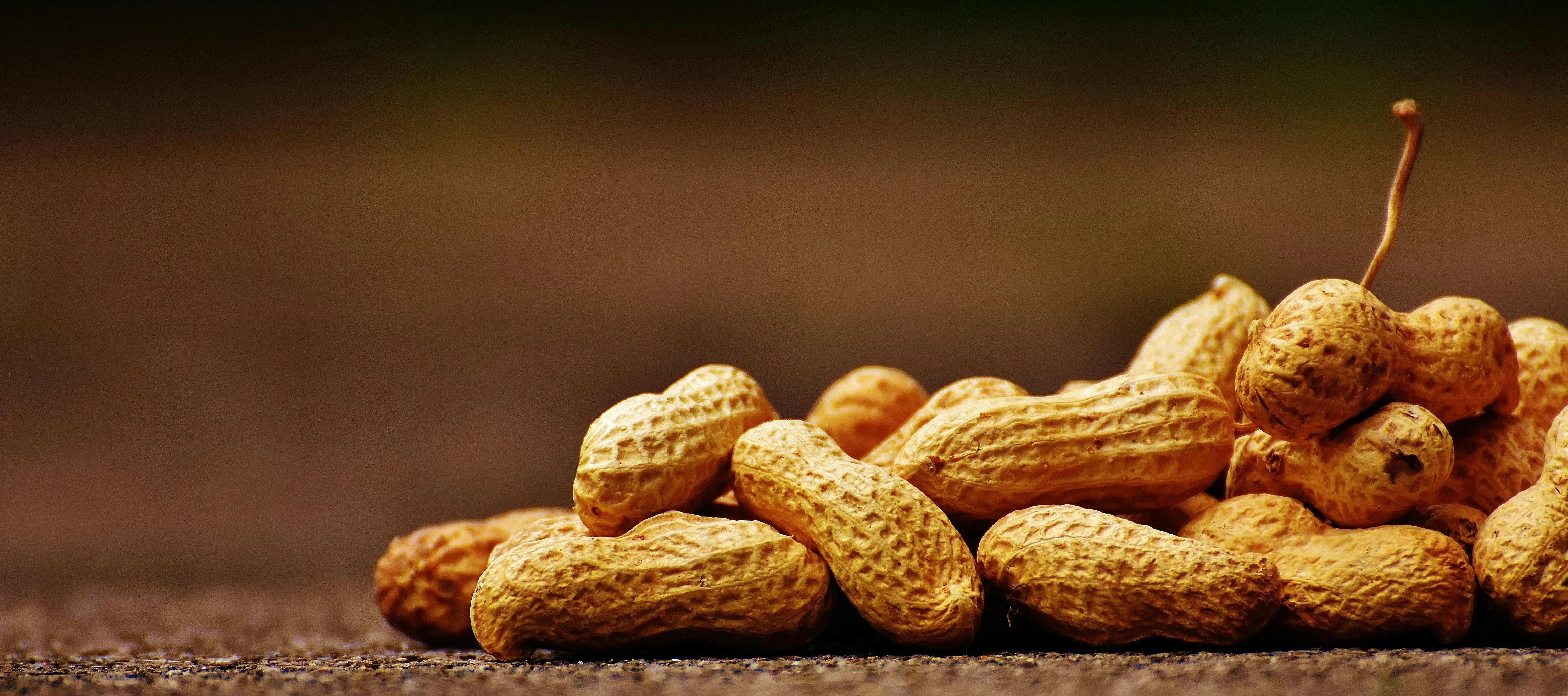 Mengungkap Sisi Lain Kacang Tanah: Fakta Menarik yang Jarang Diketahui Banyak Orang