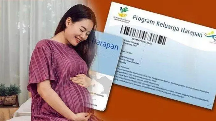 Prosedur Pendaftaran PKH Ibu Hamil: Tersedia Jalur Digital dan Manual untuk Masyarakat