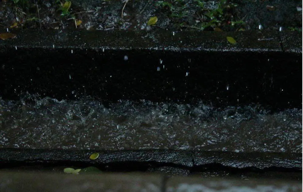 Rahasia Petrichor: Kenapa Bau Hujan Selalu Terasa Menenangkan?
