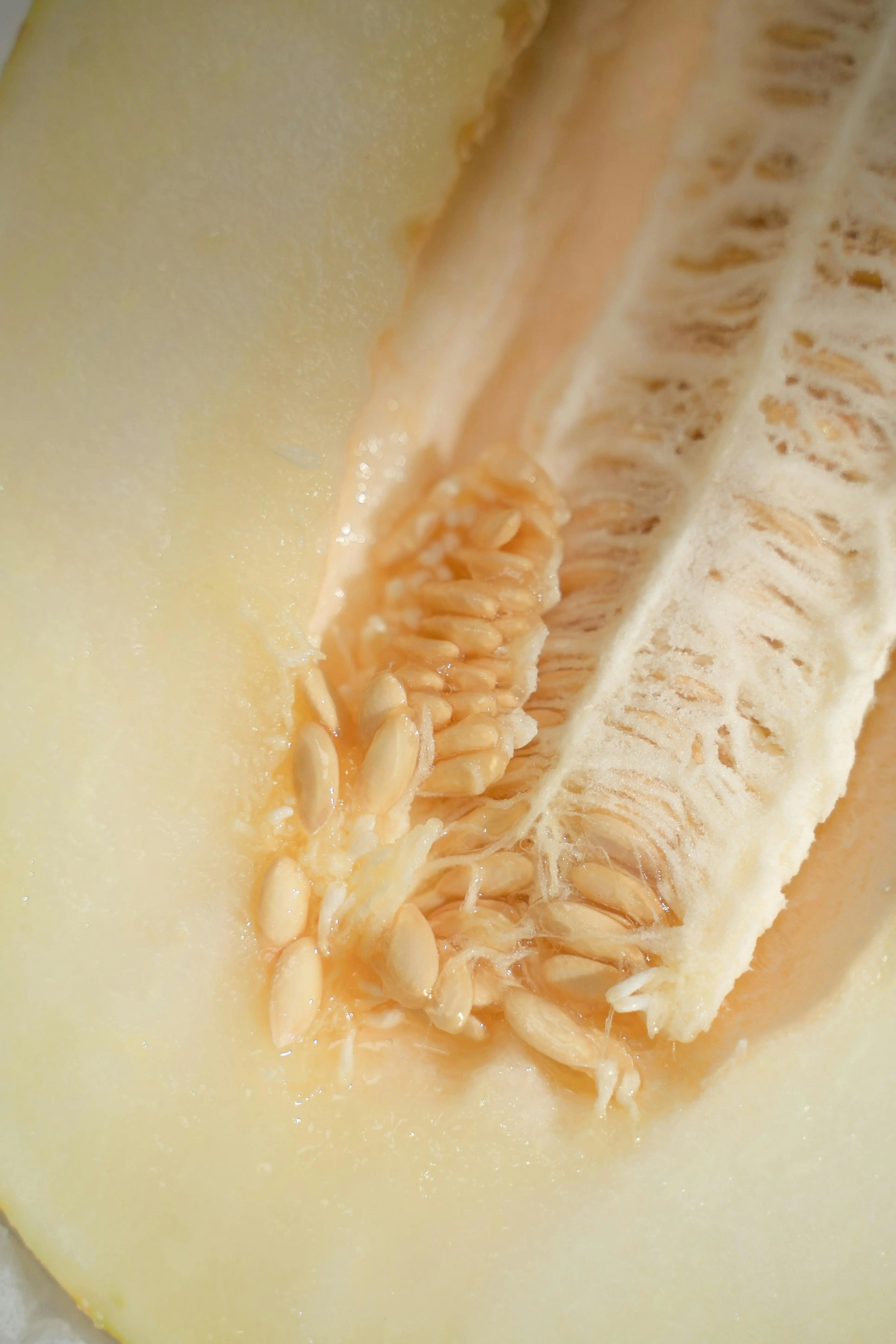 Jangan Dibuang! Ternyata Ini Sederet Manfaat Biji Melon bagi Kesehatan