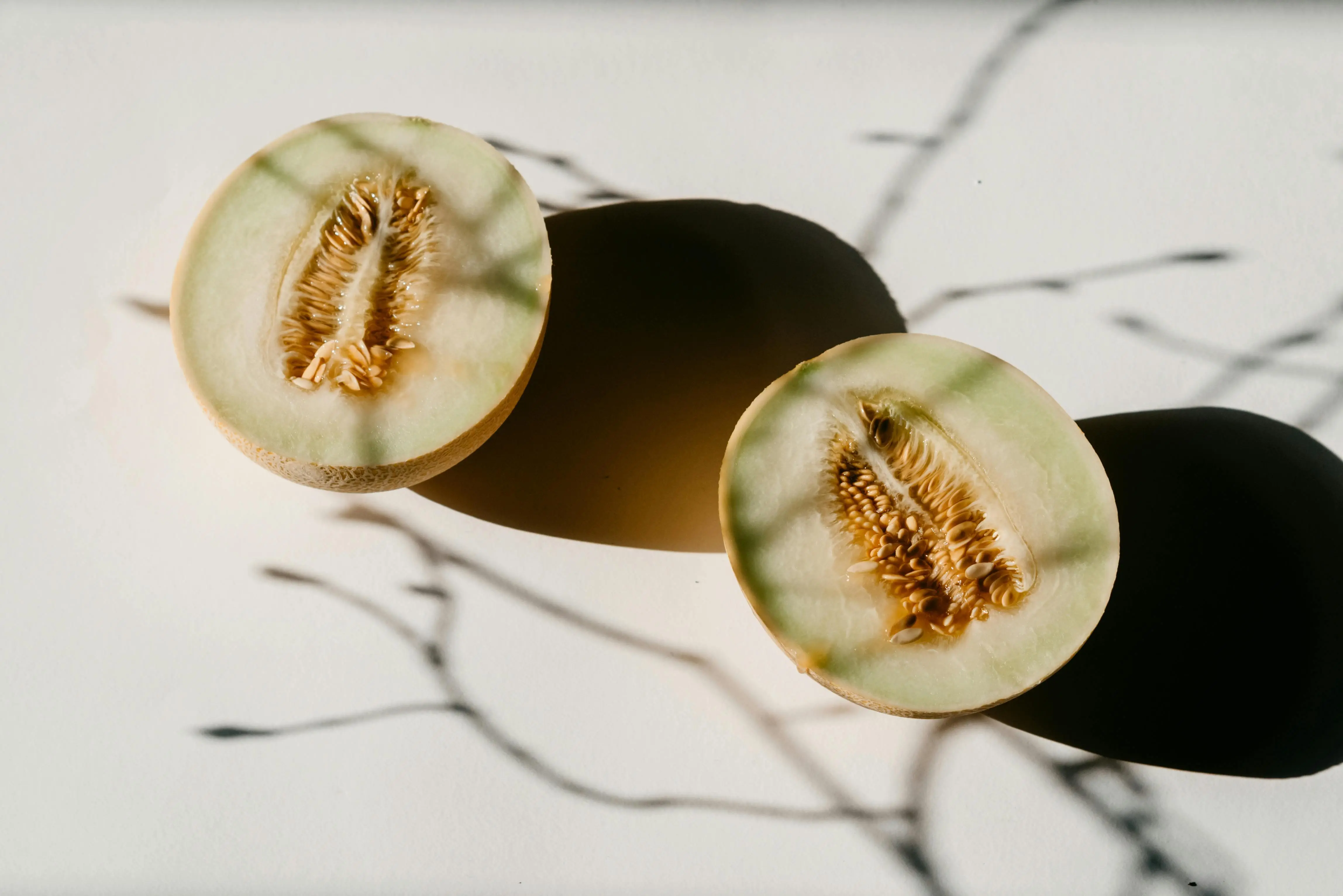 Mengapa Melon Menjadi Buah Paling Berharga di Dunia? Intip Perjalanannya dari Asia ke Eropa