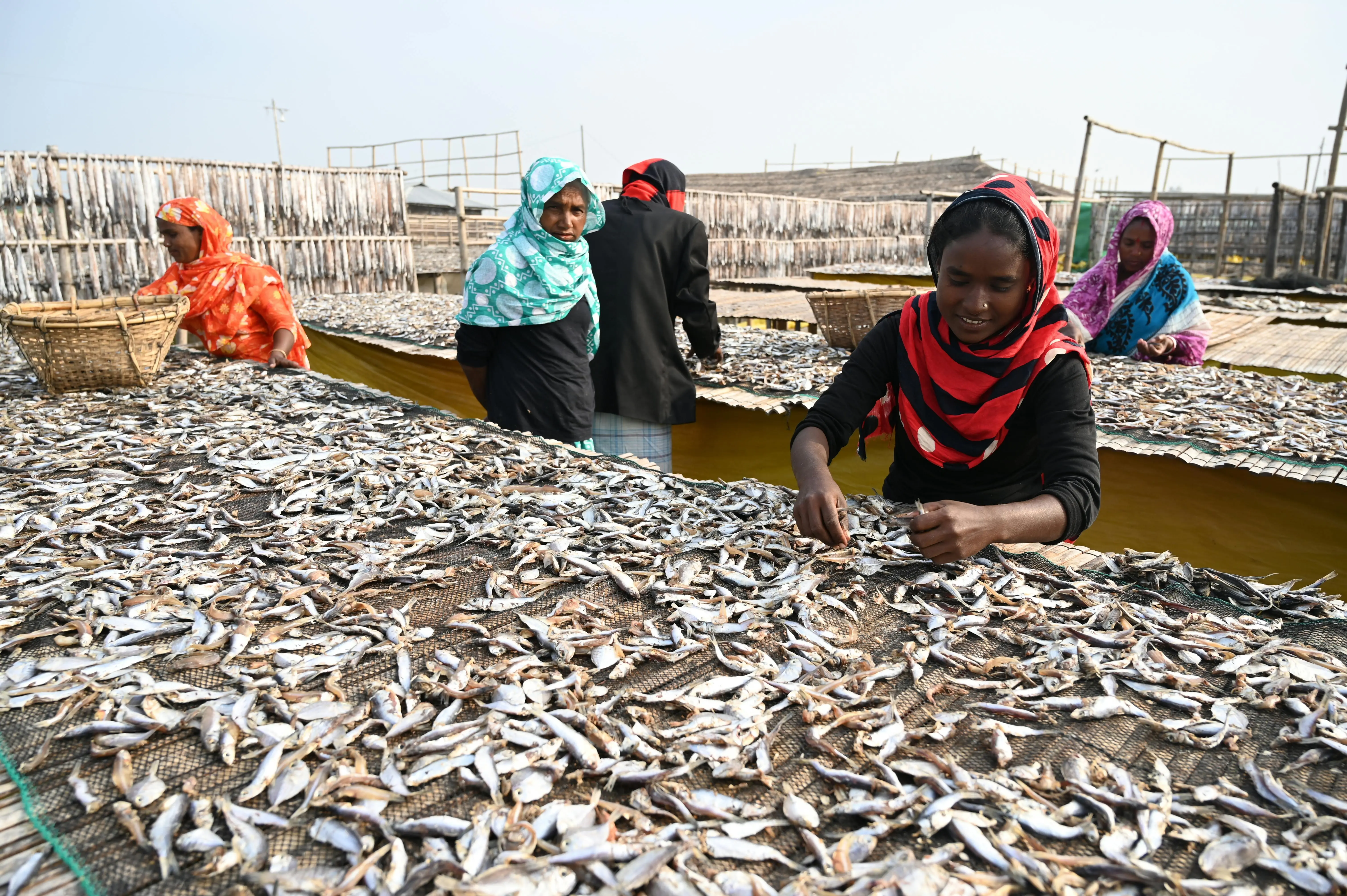 Optimasi Ekonomi Biru: Menggali Nilai Tambah Produk Olahan Ikan Berbasis Perspektif Global