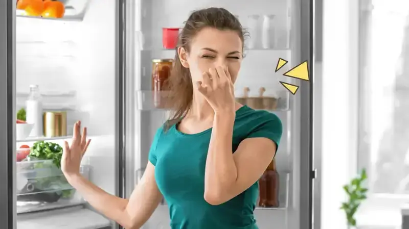 Kulkas Bau? 4 Bahan Dapur Ini Ampuh Hilangkan Aroma Tak Sedap Seketika!