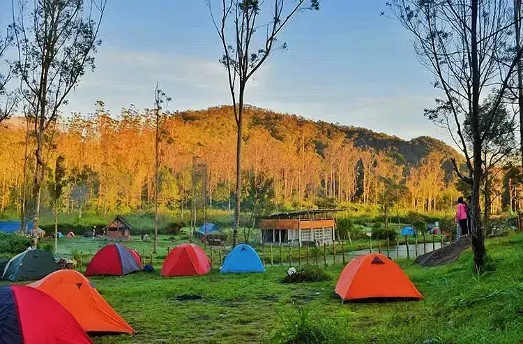 3 Spot Camping Hits di Ciwidey: Pilihan Terbaik Buat Healing Akhir Pekan
