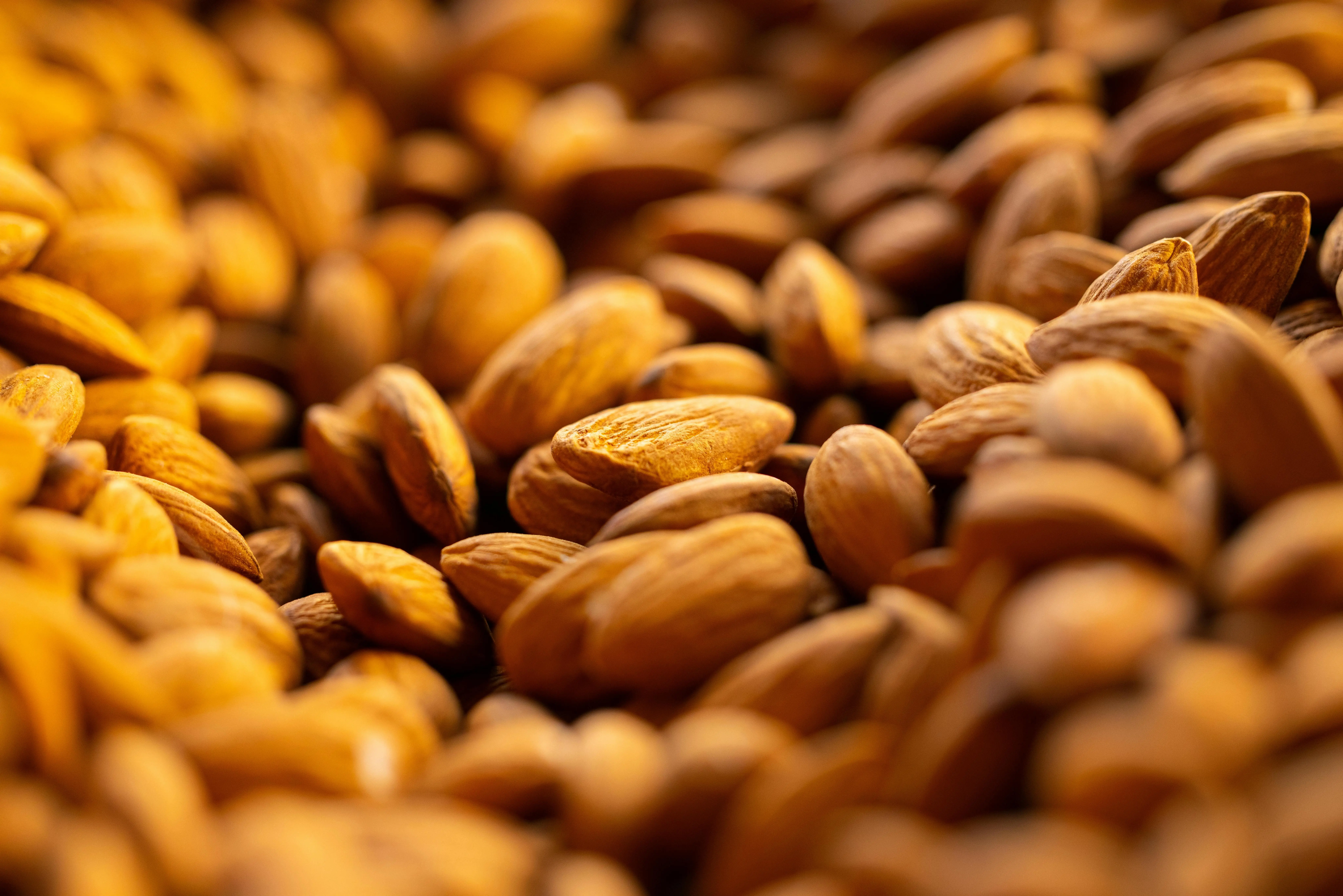 Peran Almond dalam Diet: Solusi Nutrisi dan Keberlanjutan Global
