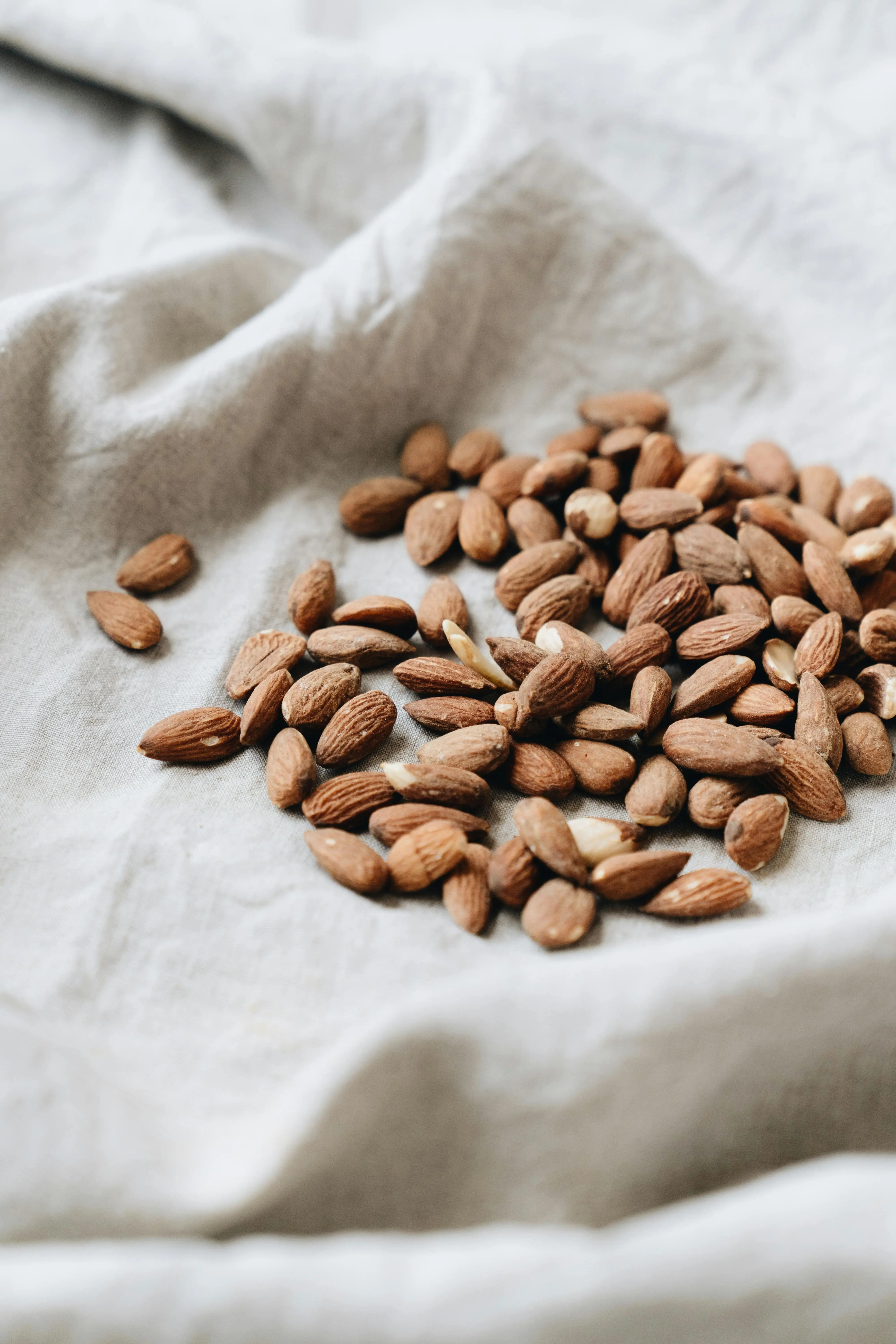 Mengapa Almond Menjadi Kunci Ketahanan Pangan Global Menurut FAO?