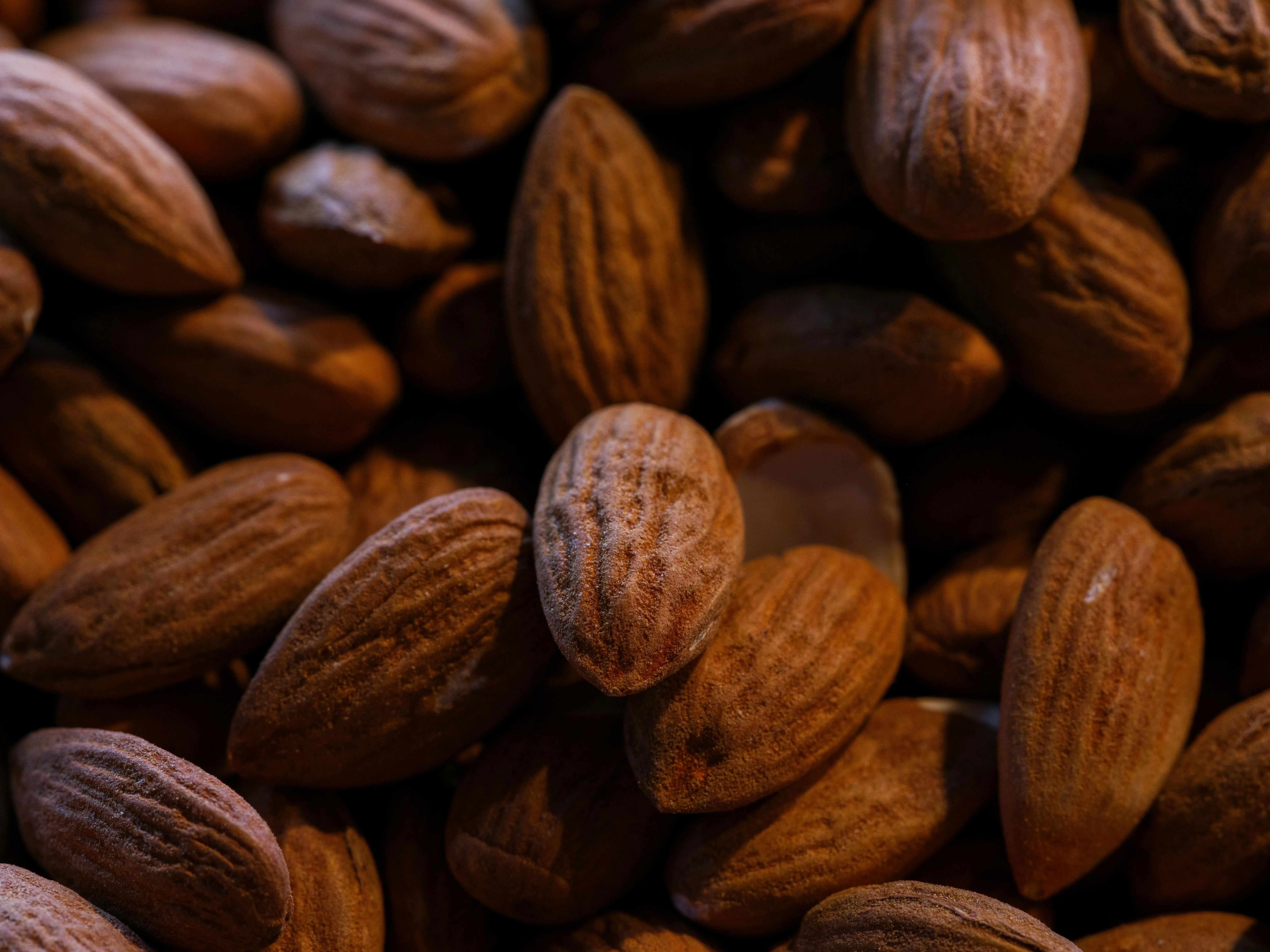 Almond: Superfood Sederhana untuk Transformasi Gaya Hidup Sehat Modern