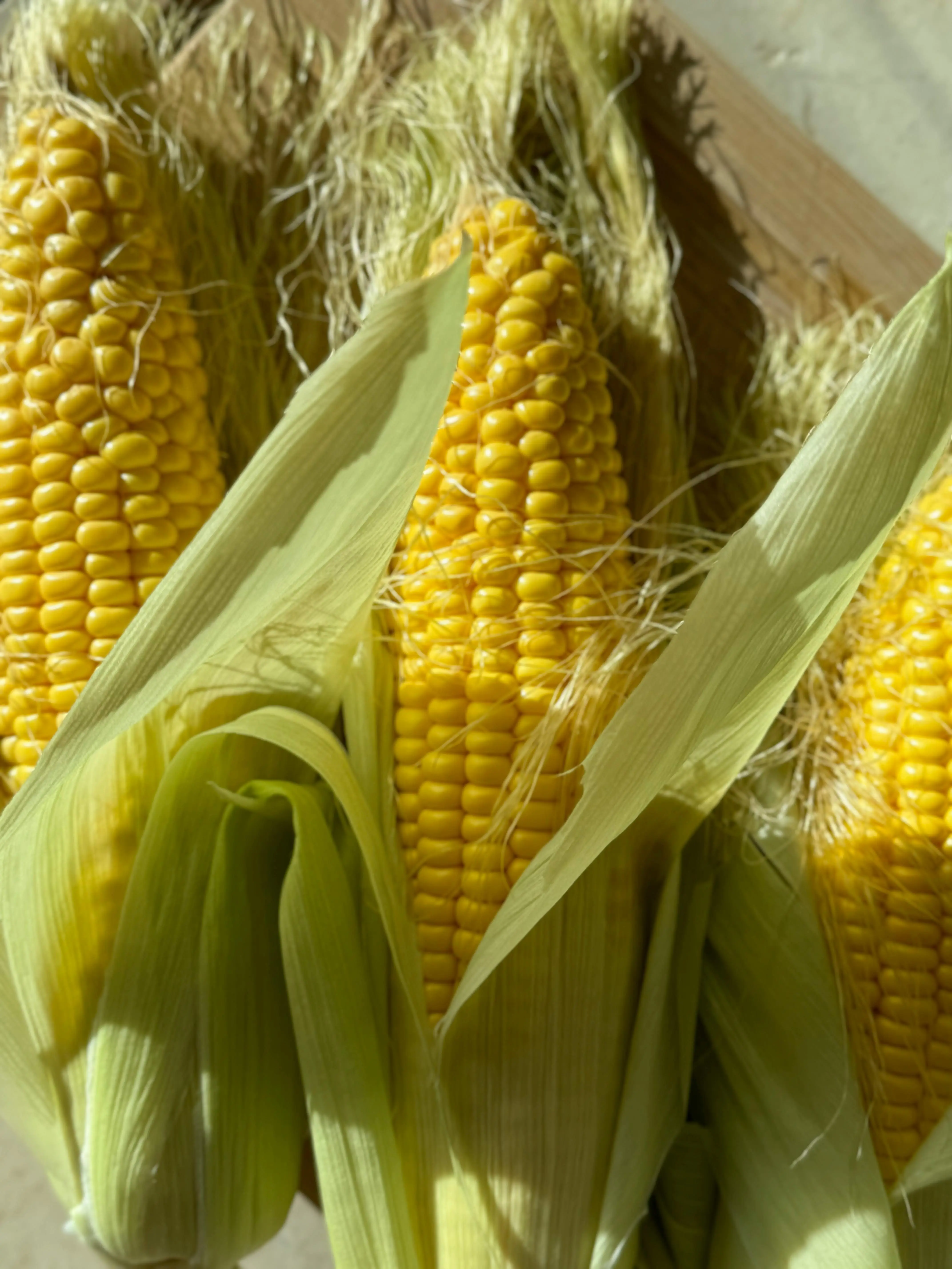 Mengupas Nutrisi Jagung: Warisan Tradisi di Jantung Pola Makan Mediterania