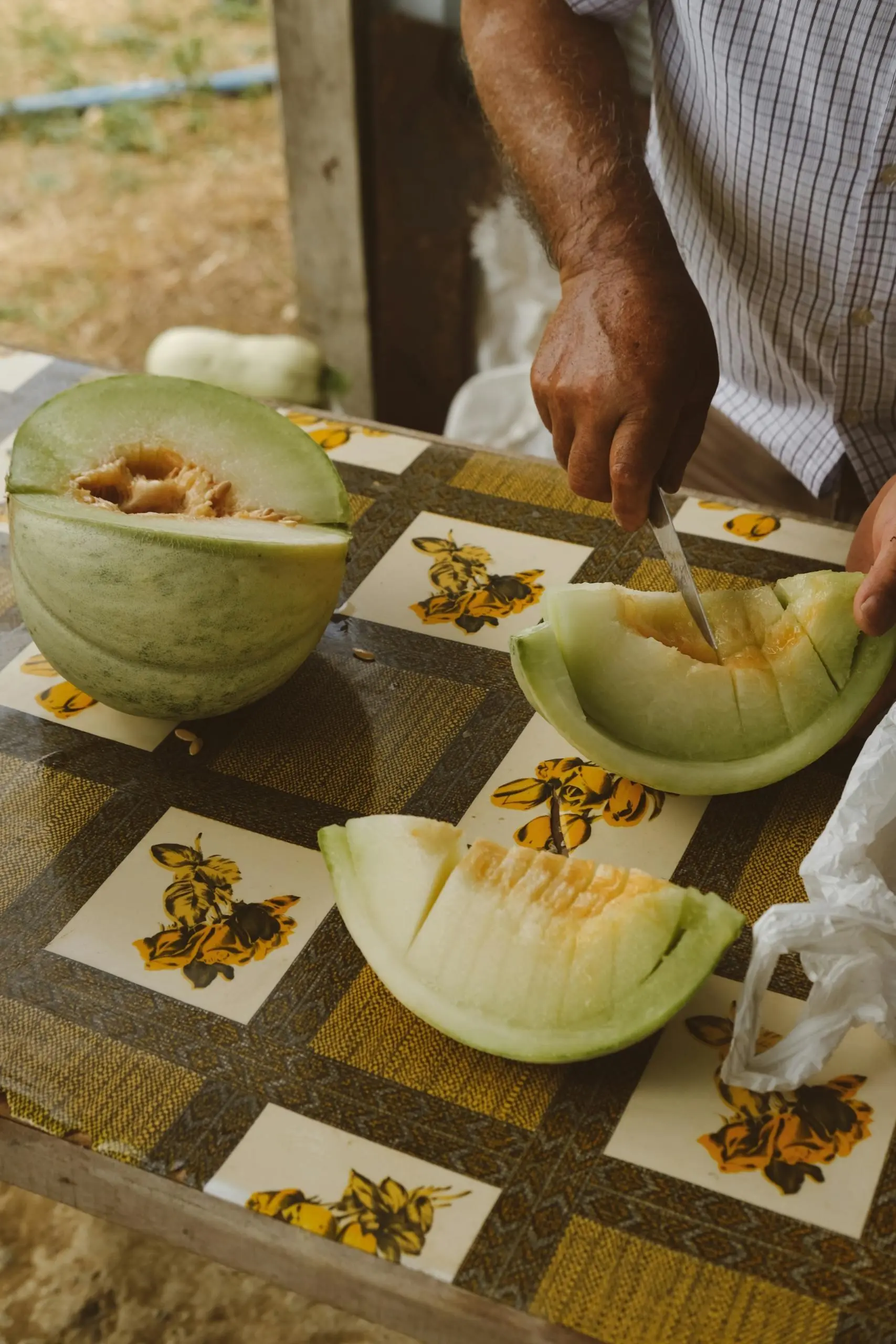 Memahami Perbedaan Melon Organik dan Non-Organik: Mana Pilihan Terbaik Anda?
