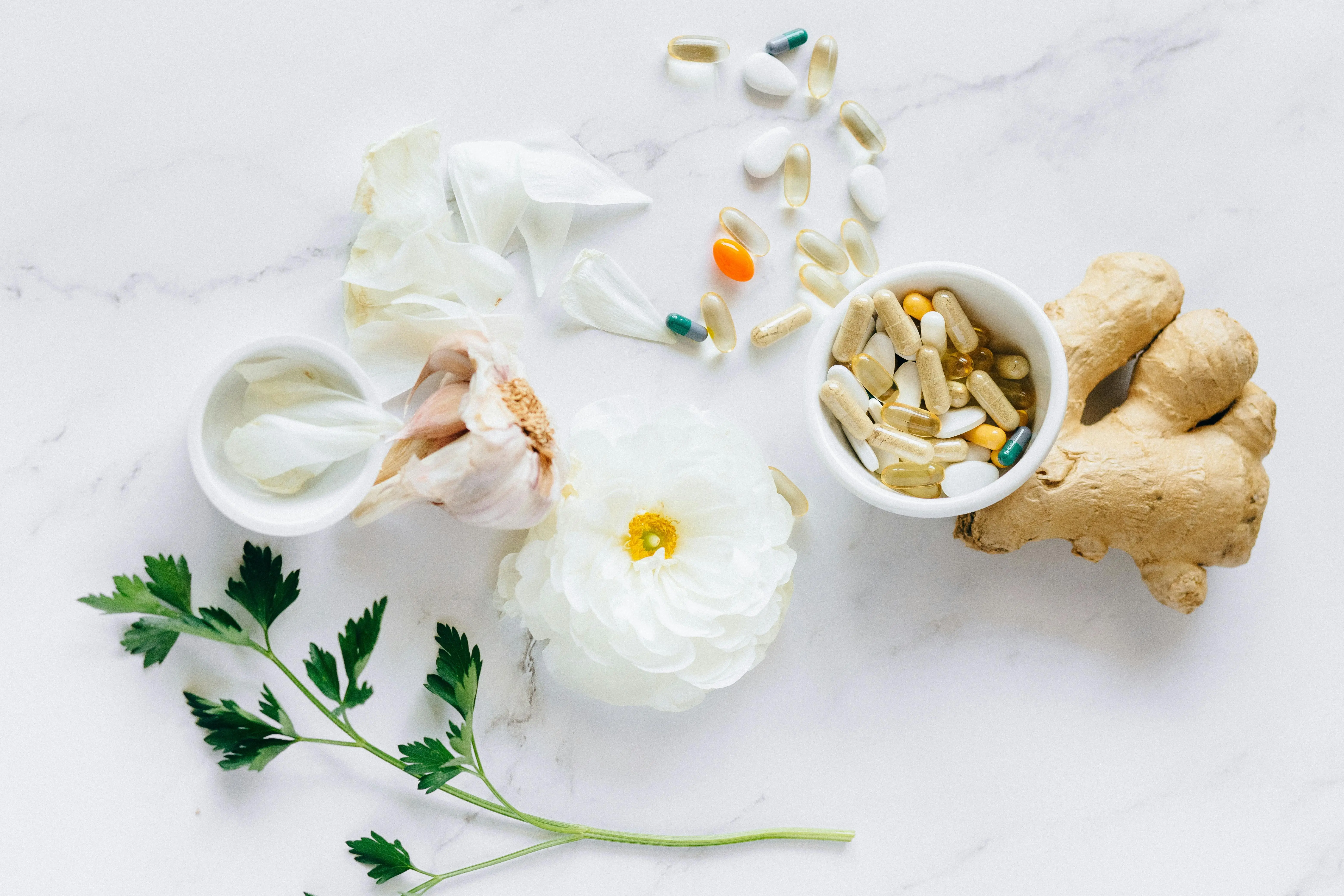 Penggunaan Herbal di Era Modern: Transformasi Gaya Hidup Menuju Kesehatan Holistik