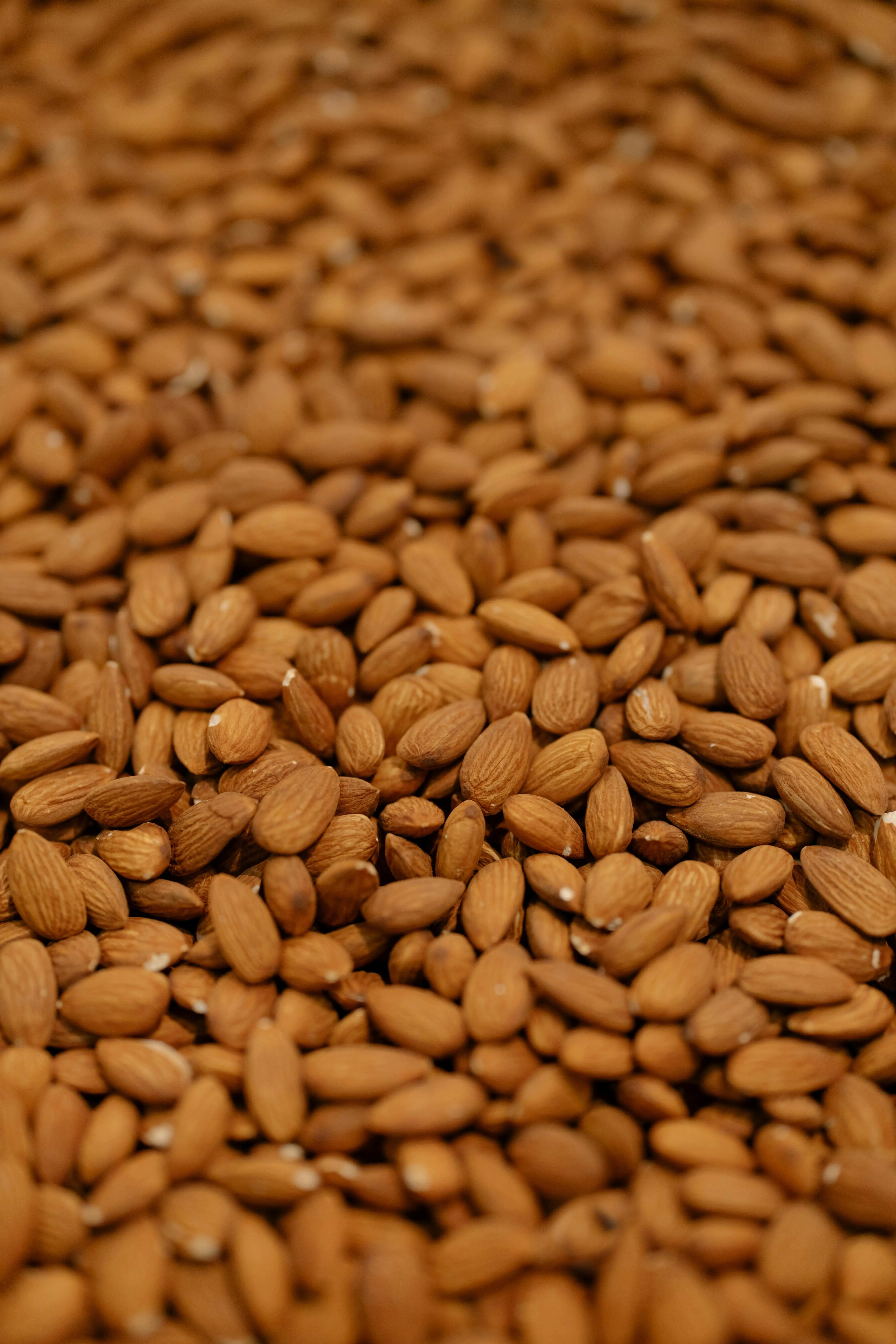 Kacang Almond untuk Anak: Kapan Waktu Terbaik dan Bagaimana Cara Amannya?