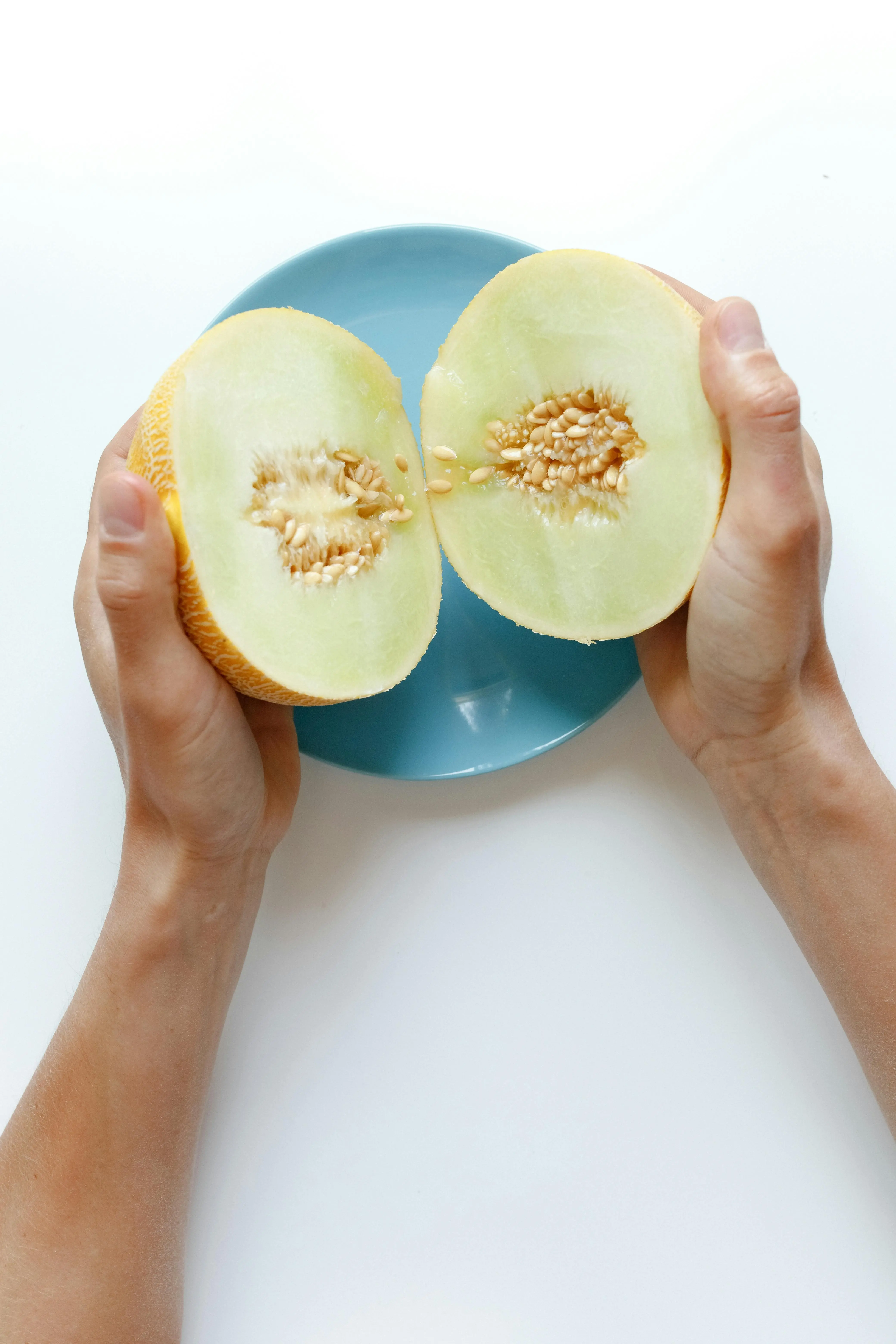 Dibalik Kesegaran Melon: Memahami Faktor Lingkungan dan Genetik yang Menentukan Kualitas