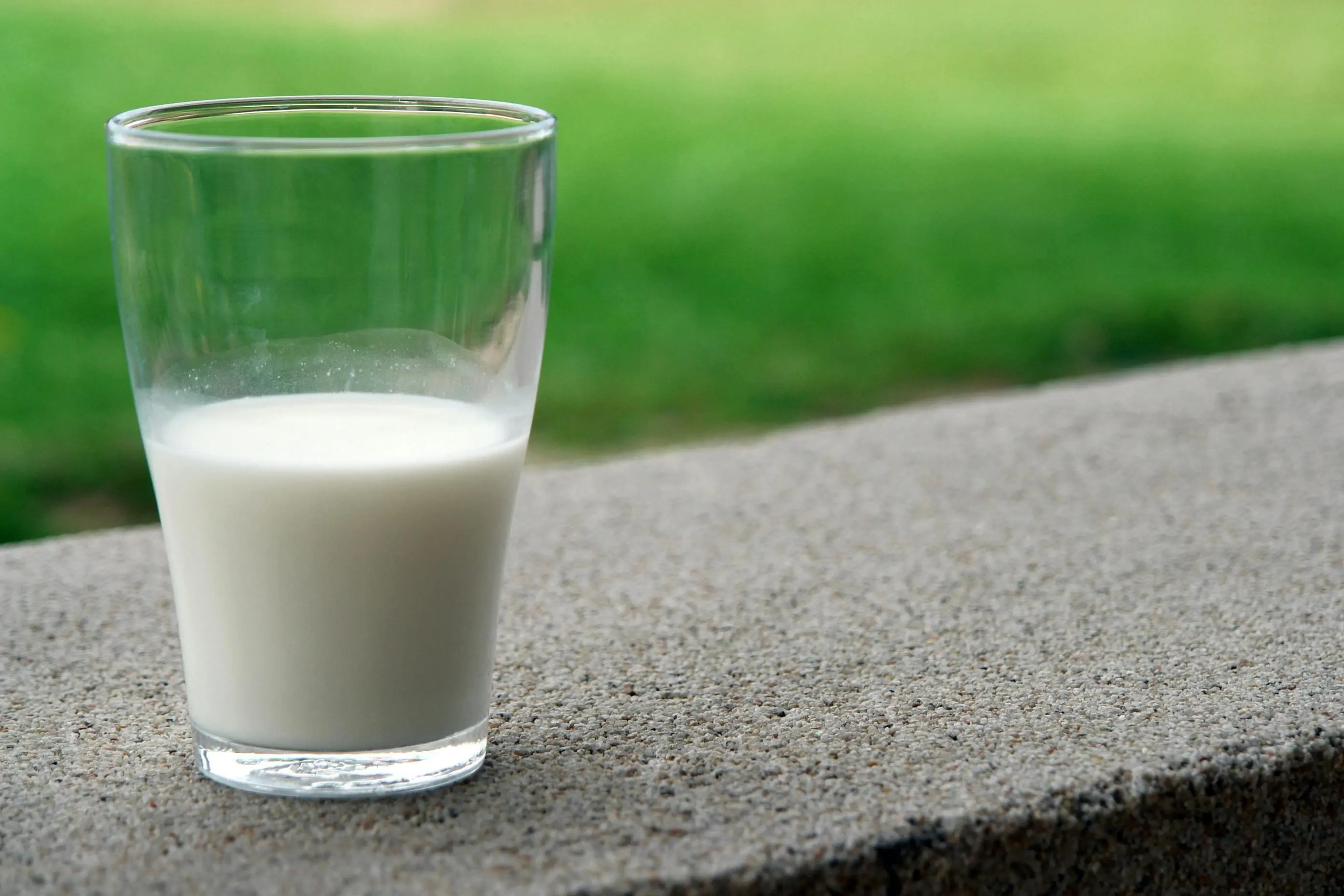 Susu dan Evolusi Manusia: Kisah Adaptasi Genetik yang Mengubah Sejarah