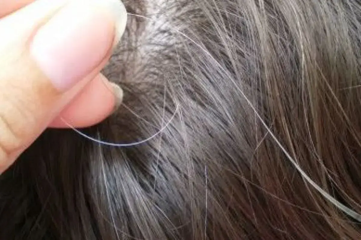Mitos Rambut: Benarkah Mencabut Uban Bikin Rambut Putih Menular ke Helai Lain?