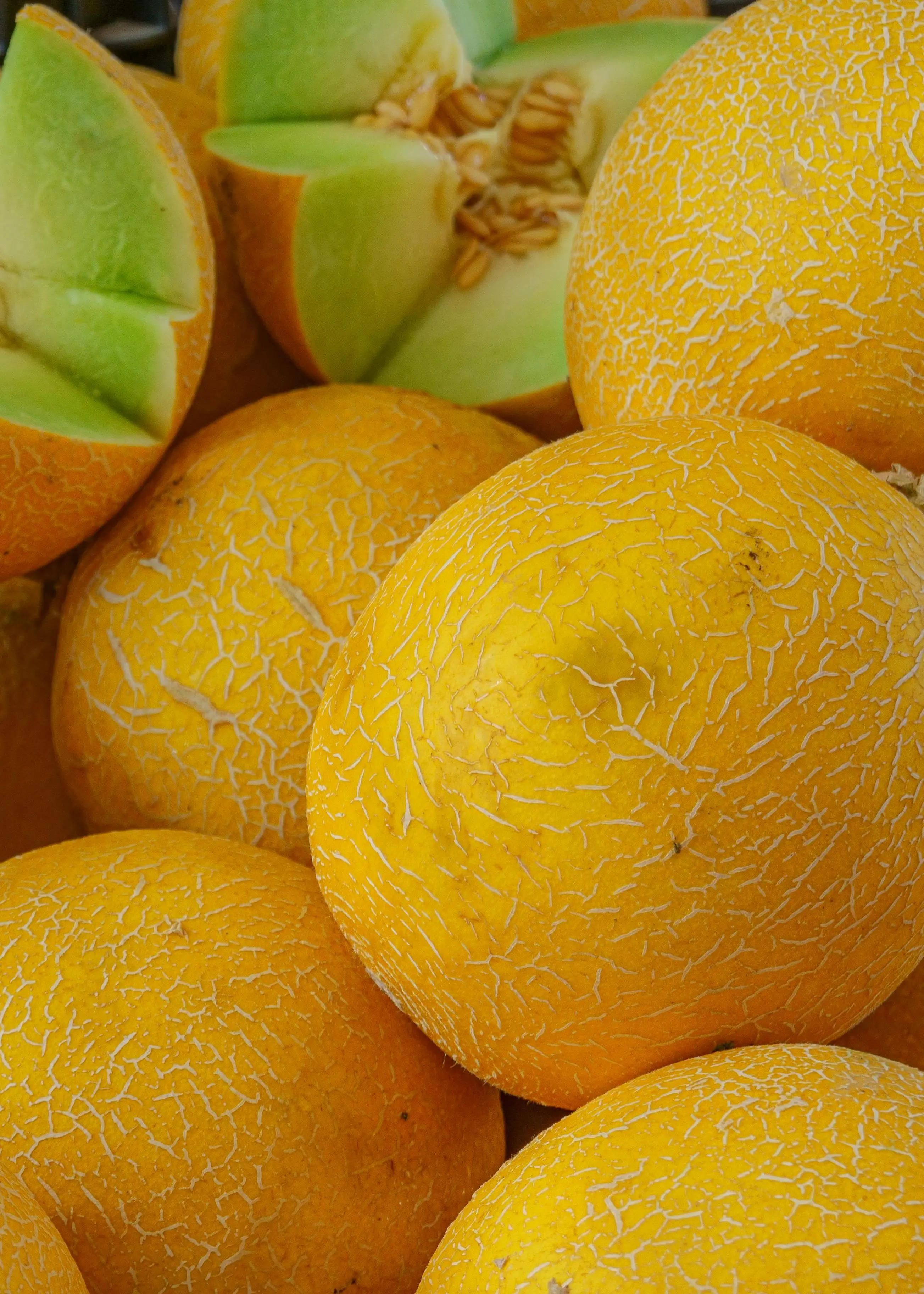 Bedah Keistimewaan Melon Jepang: Kenapa Harganya Bisa Selangit